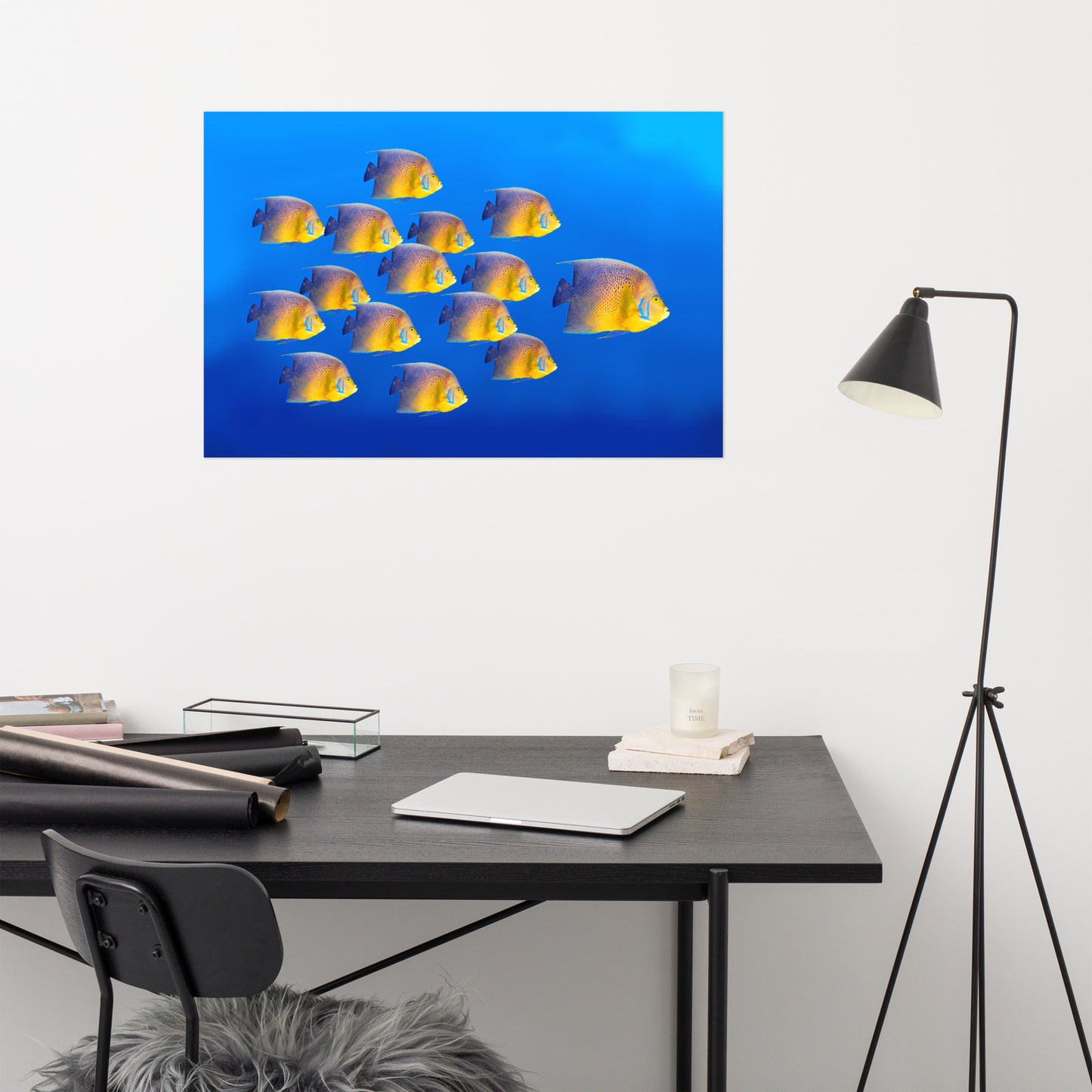 School of Tropical Coral Fish Angelfish Isolated In Blue Ocean Water Animal Wildlife Photograph Loose Wall Art Print