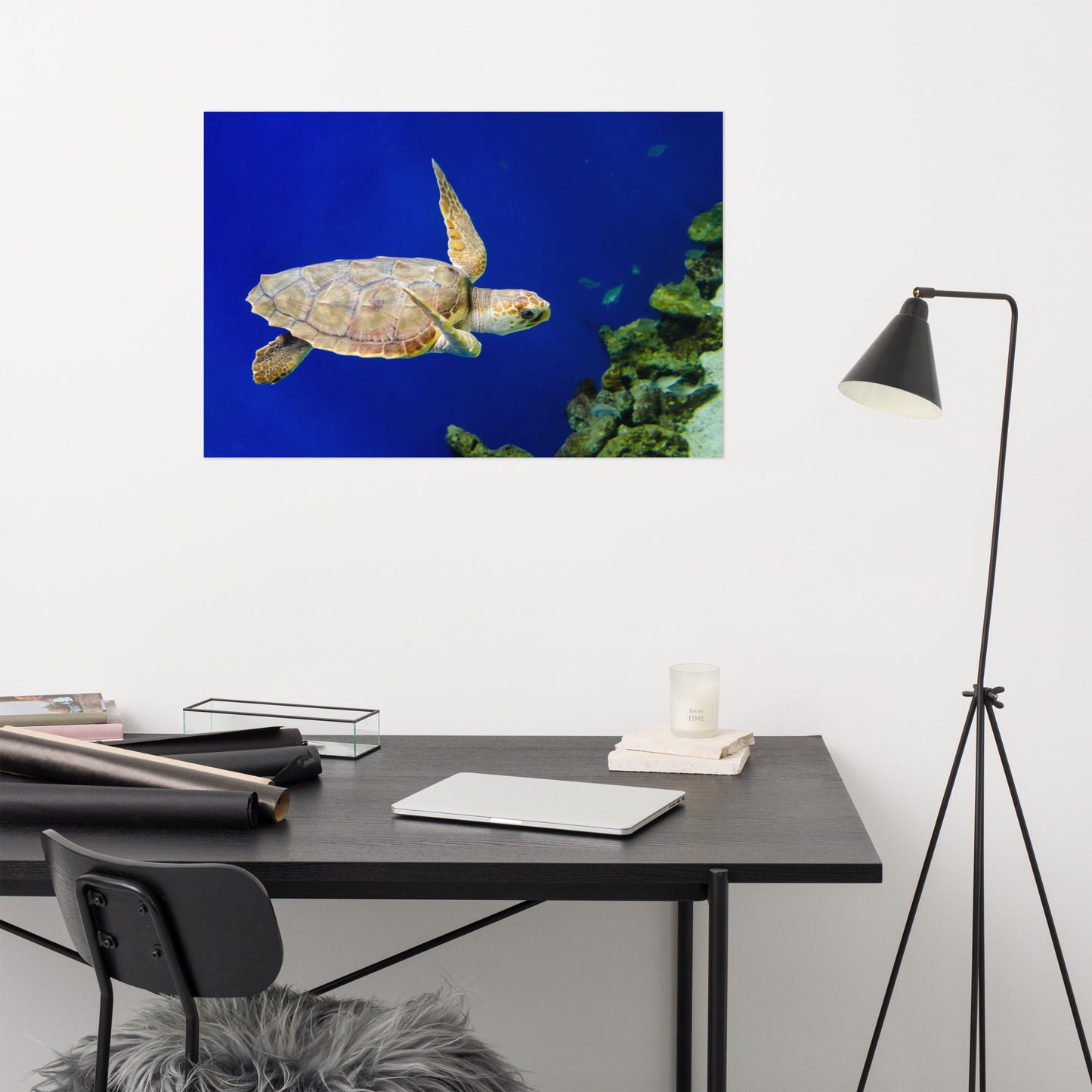 Sea Turtle 1 Animal / Wildlife Photograph Loose Wall Art Print
