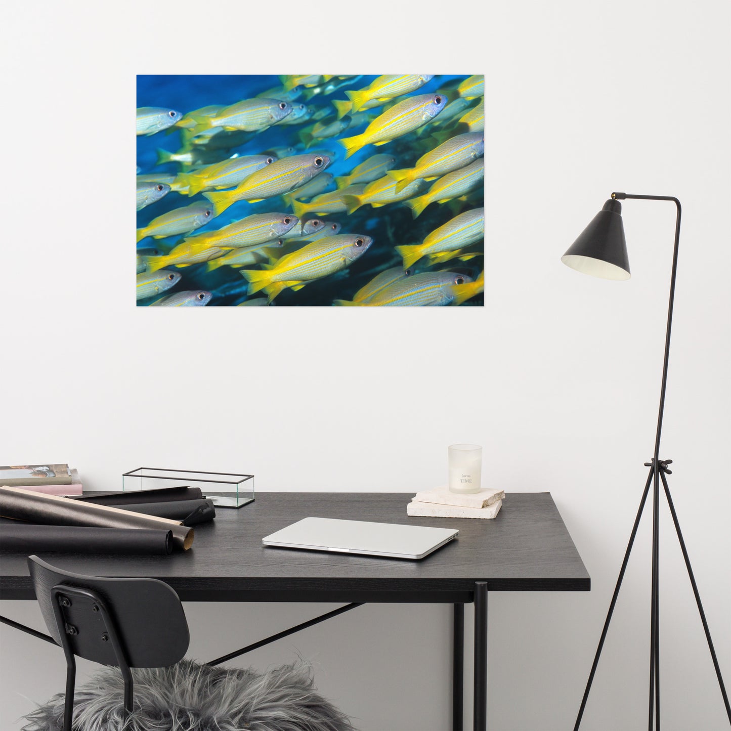 School of Yellow Tropical Fish in Blue Ocean Water Animal Wildlife Photograph Loose Wall Art Print
