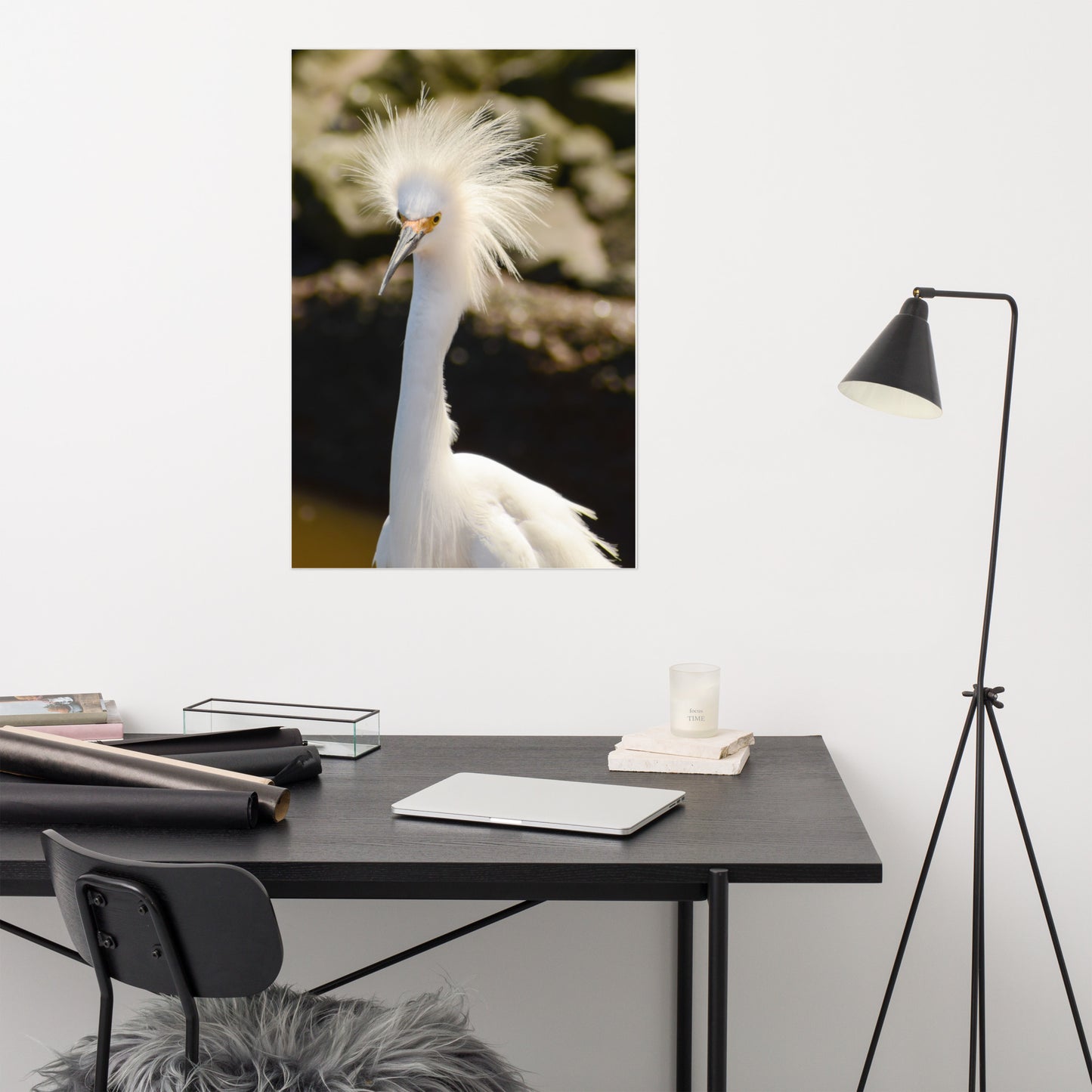 Snowy Egret - Coastal Bird Wildlife Photograph Loose Wall Art Print