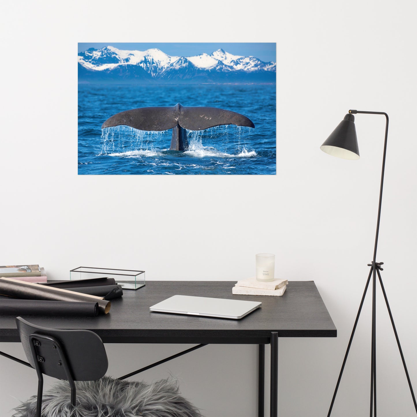 Sperm Whale Tall Splashing Aquatic Animal Wildlife Photo Loose Wall Art Print