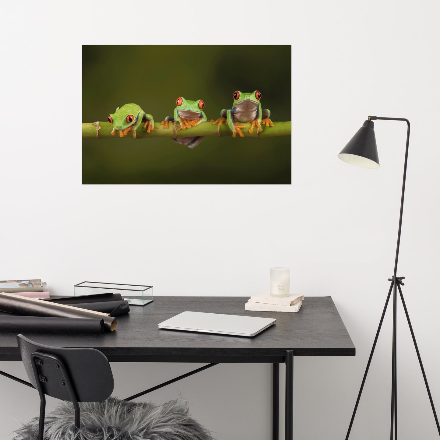 Three Tiny Green Red Eyed Tree Frog on Bamboo Branch Animal Wildlife Floral Nature Photograph Loose Wall Art Print