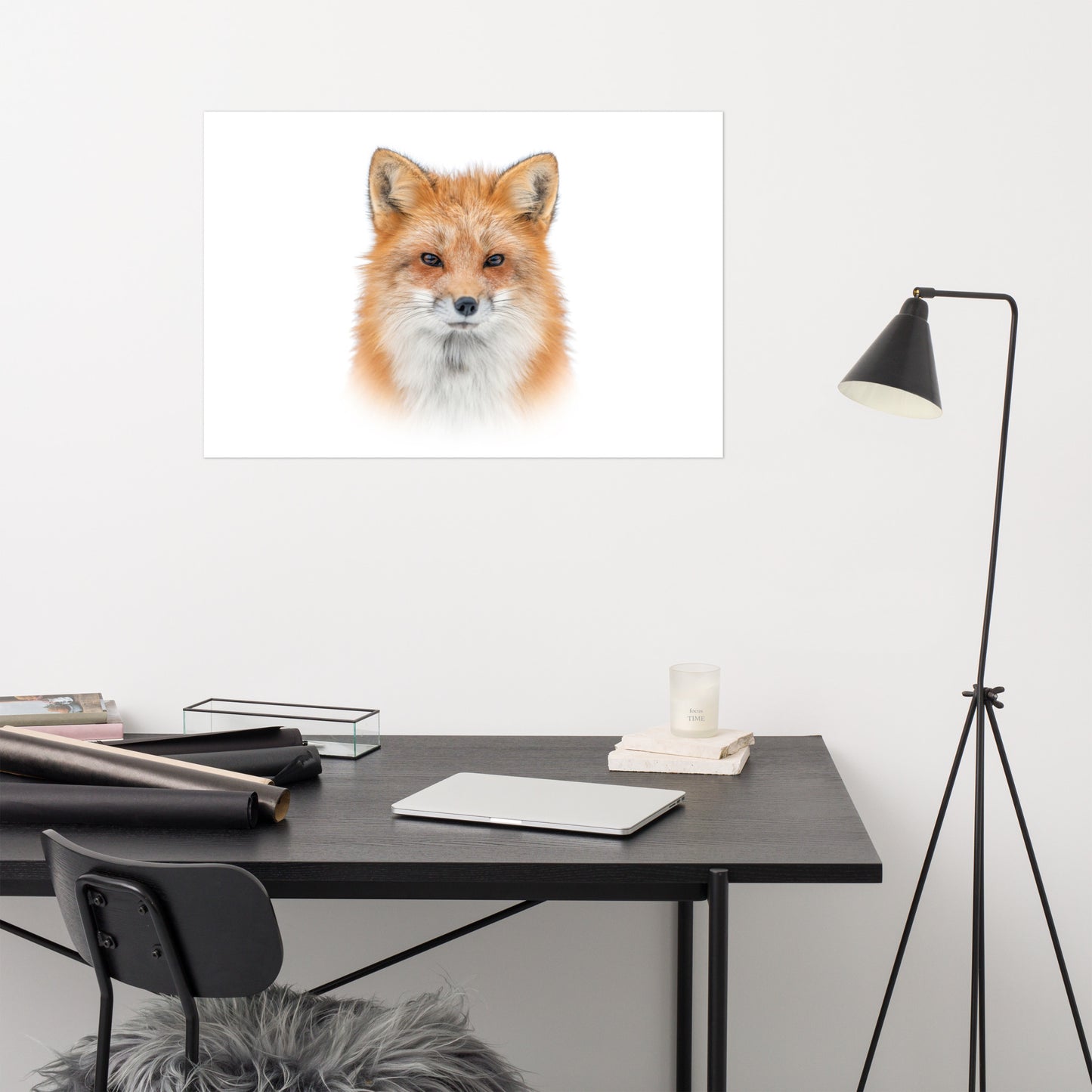 Young Red Fox Face on White Minimal Animal Wildlife Nature Photograph Loose Wall Art Print