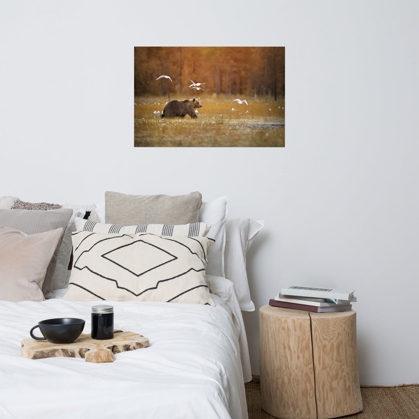 Big Brown Bear Crossing The Marshlands Wildlife Photo Loose Wall Art Prints