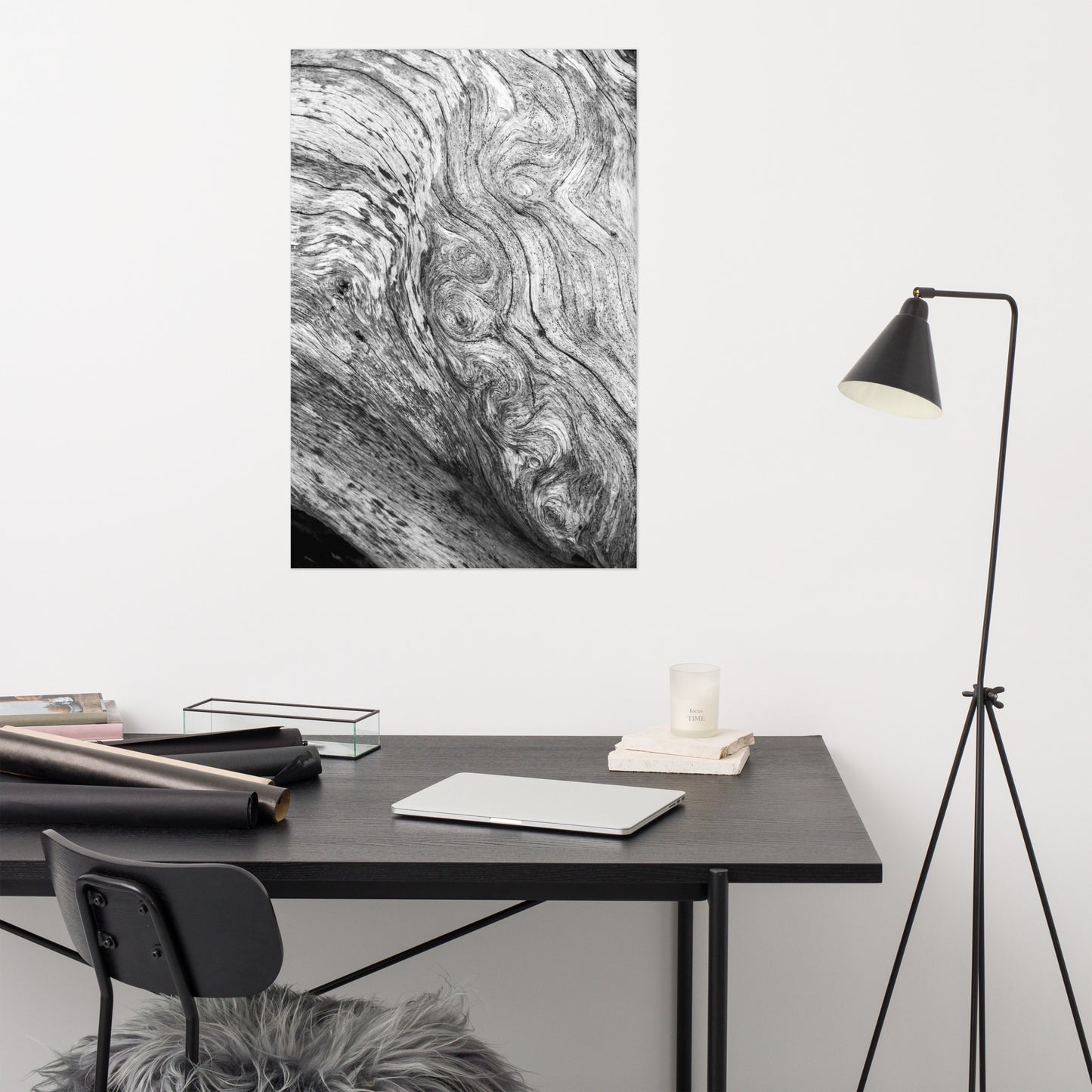 Dead Tree Boneyard Beach Florida Texture Close-up 5 Black and White Rustic Nature Photo - Loose Wall Art Print