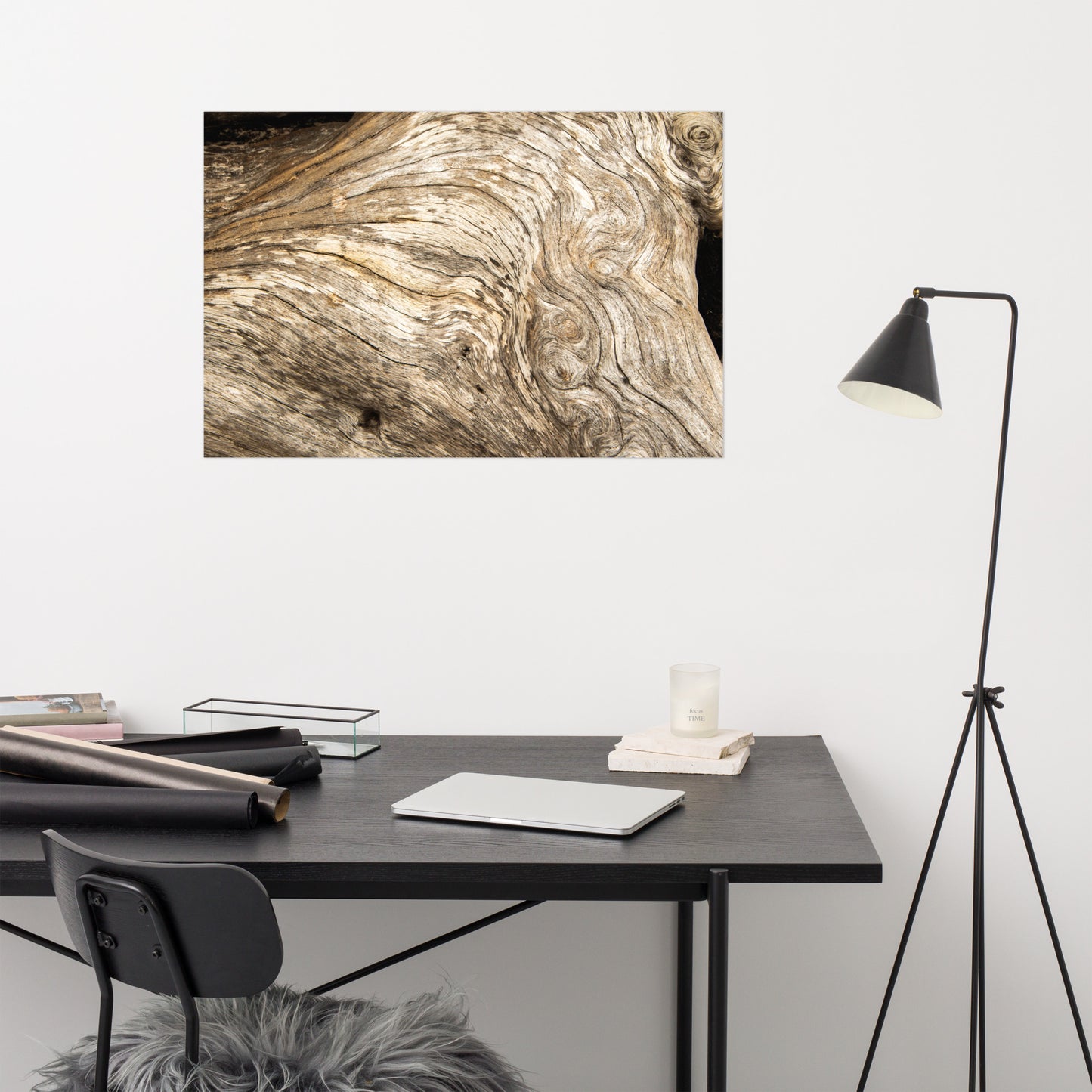 Dead Tree Boneyard Beach Florida Texture Close-up 3 Rustic Nature Photo Loose Wall Art Print