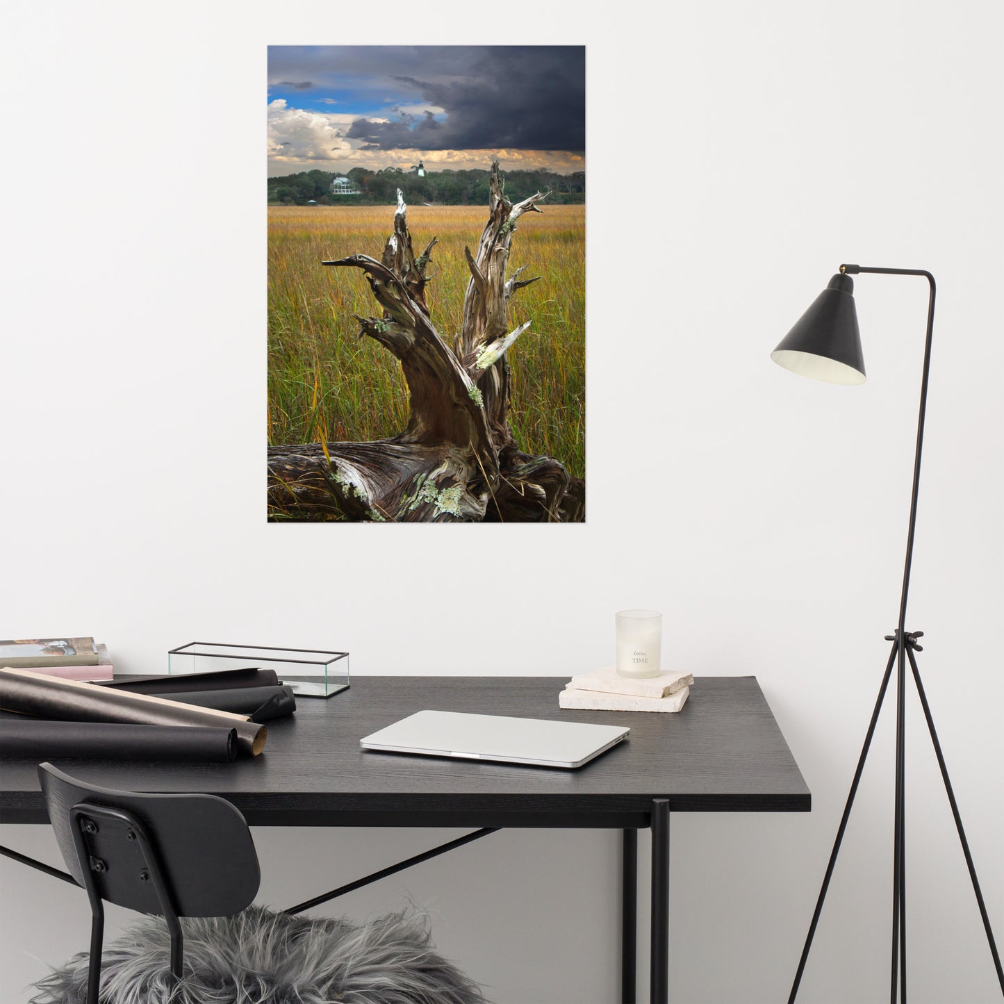 Dead Tree and Amelia Lighthouse Coastal Landscape Photo - Loose Wall Art Prints