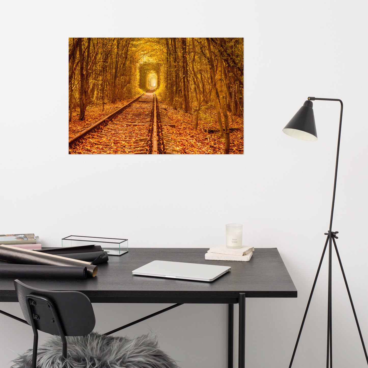 Ukraine Forest Railway Tunnel of Love Rustic Farmhouse Style Landscape Photo Loose Wall Art Print