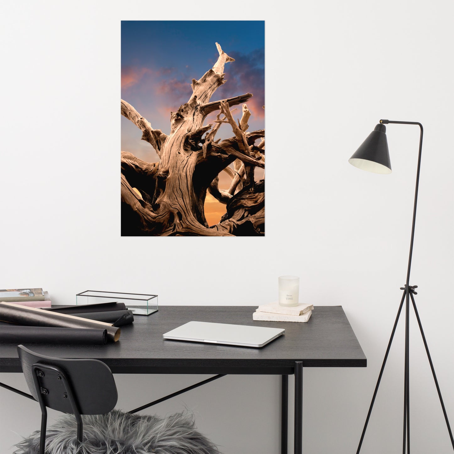 Wilted Cypress Tree and Sunrise Rustic Farmhouse Style Nature Photo Loose Wall Art Prints