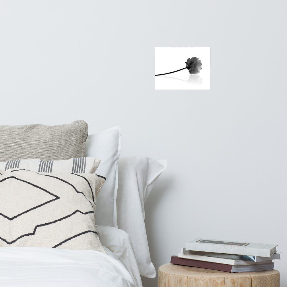 Resting Lotus Flower Black & White Floral Nature Photo Loose Flower Wall Art Print