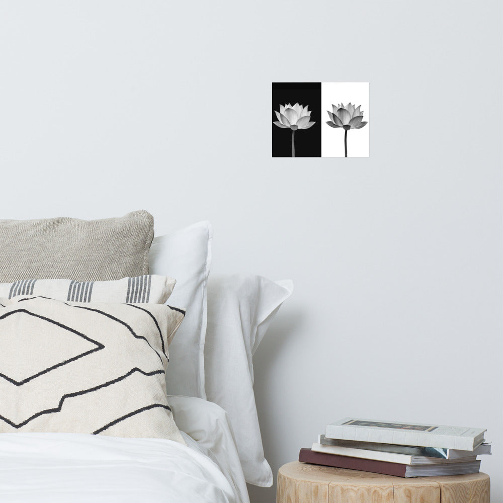 Lotus Flower on Black and White Background Floral Nature Photo Loose Flower Wall Art Print