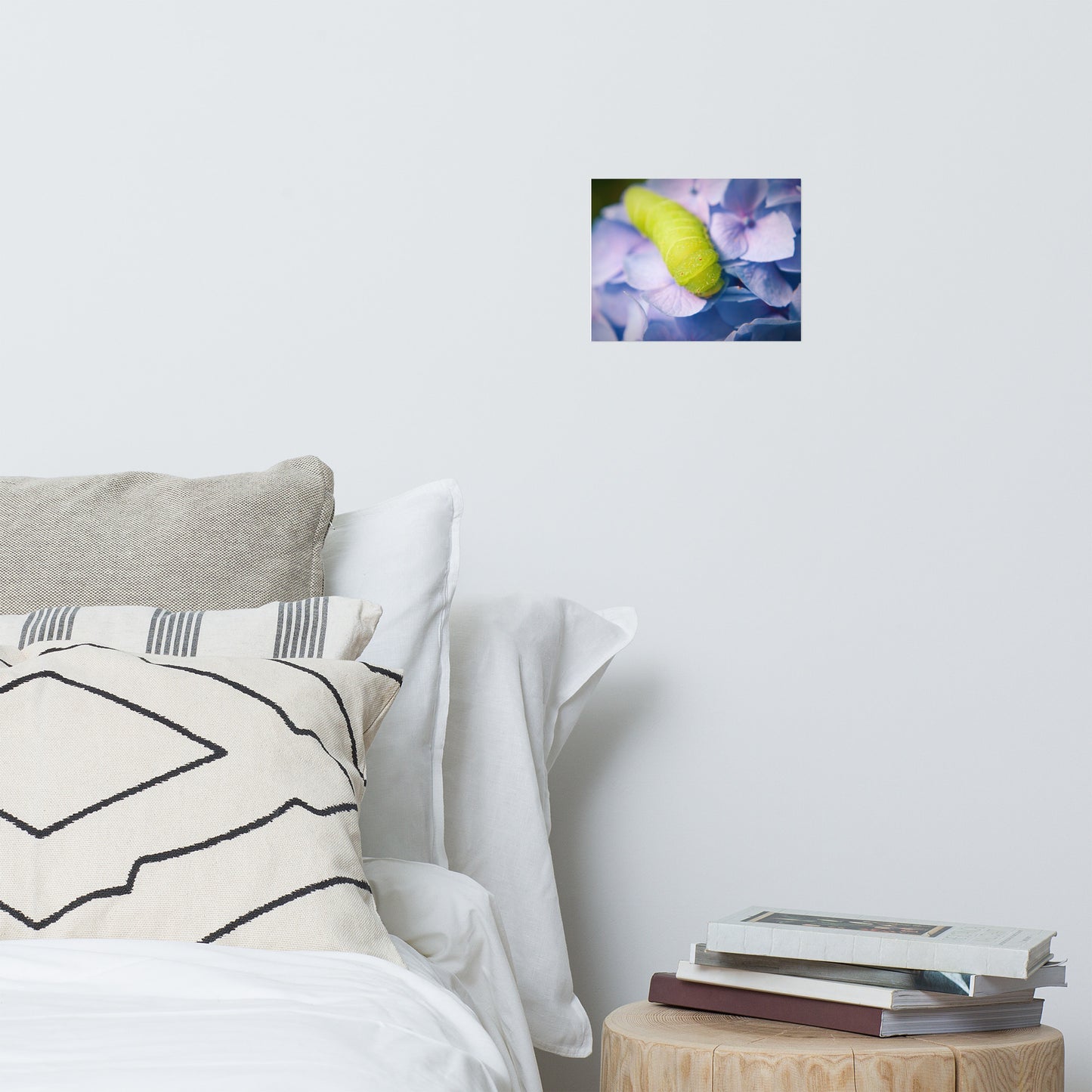 Actias Luna Larvae on Hydrangea Floral Nature Photo Loose Unframed Wall Art Prints