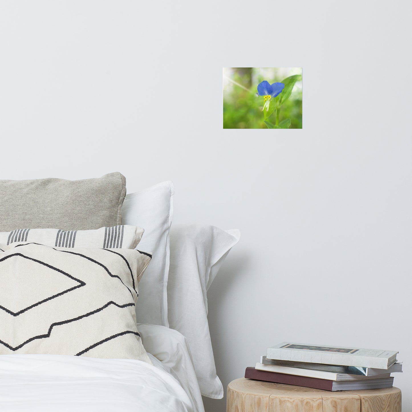 Flower Poster Prints: Little Purple and White Flower Bloom - Botanical / Floral / Flora / Flowers / Nature Photograph Loose / Unframed Wall Art Print - Artwork