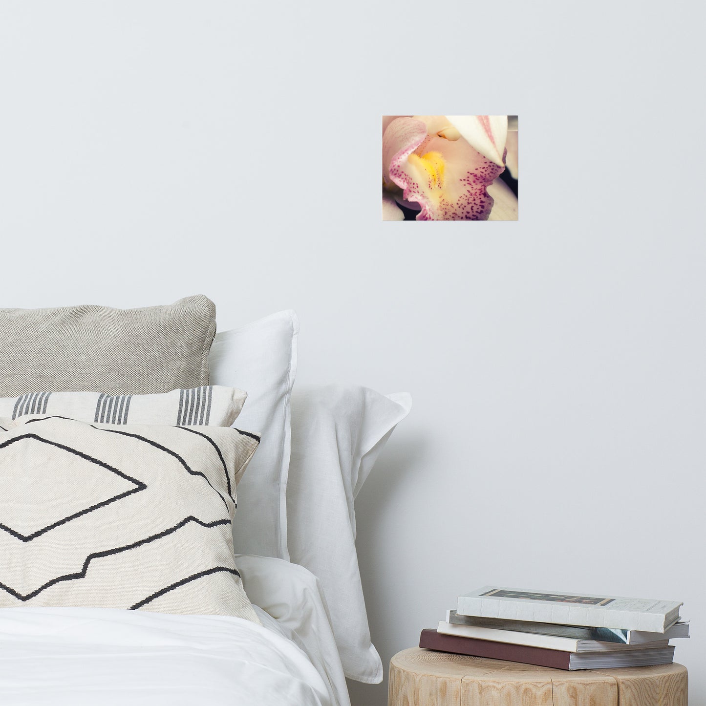 Close-up of Orchid Floral Nature Photo Loose Unframed Wall Art Prints