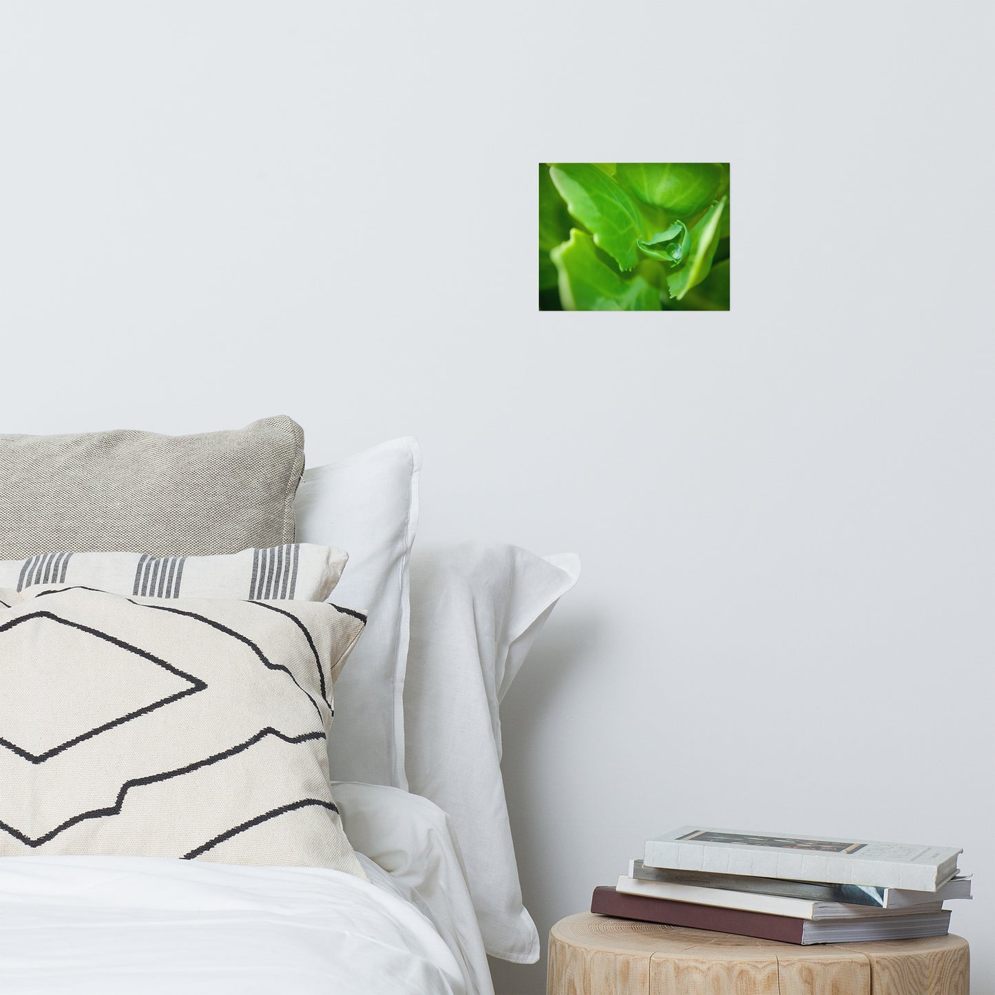 Cupped Droplet Rustic Minimal Botanical Nature Photo Loose Unframed Wall Art Prints