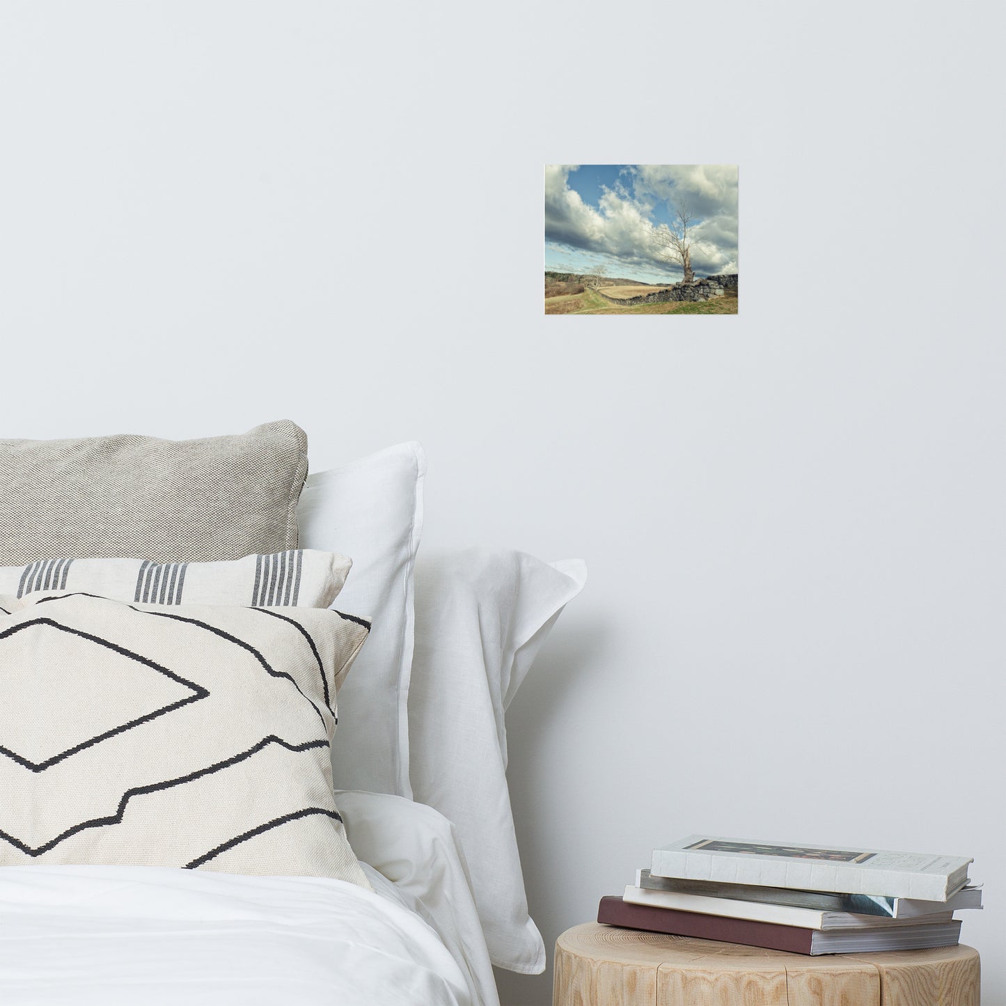Dead Tree and Stone Wall Split Toned Farmhouse Style Landscape Photo Loose Wall Art Prints