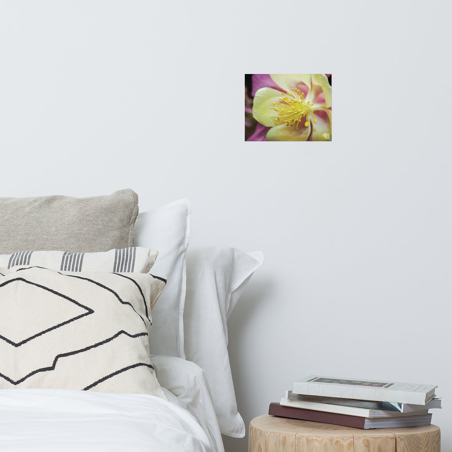 Delicate Columbine Floral Nature Photo Loose Unframed Wall Art Prints