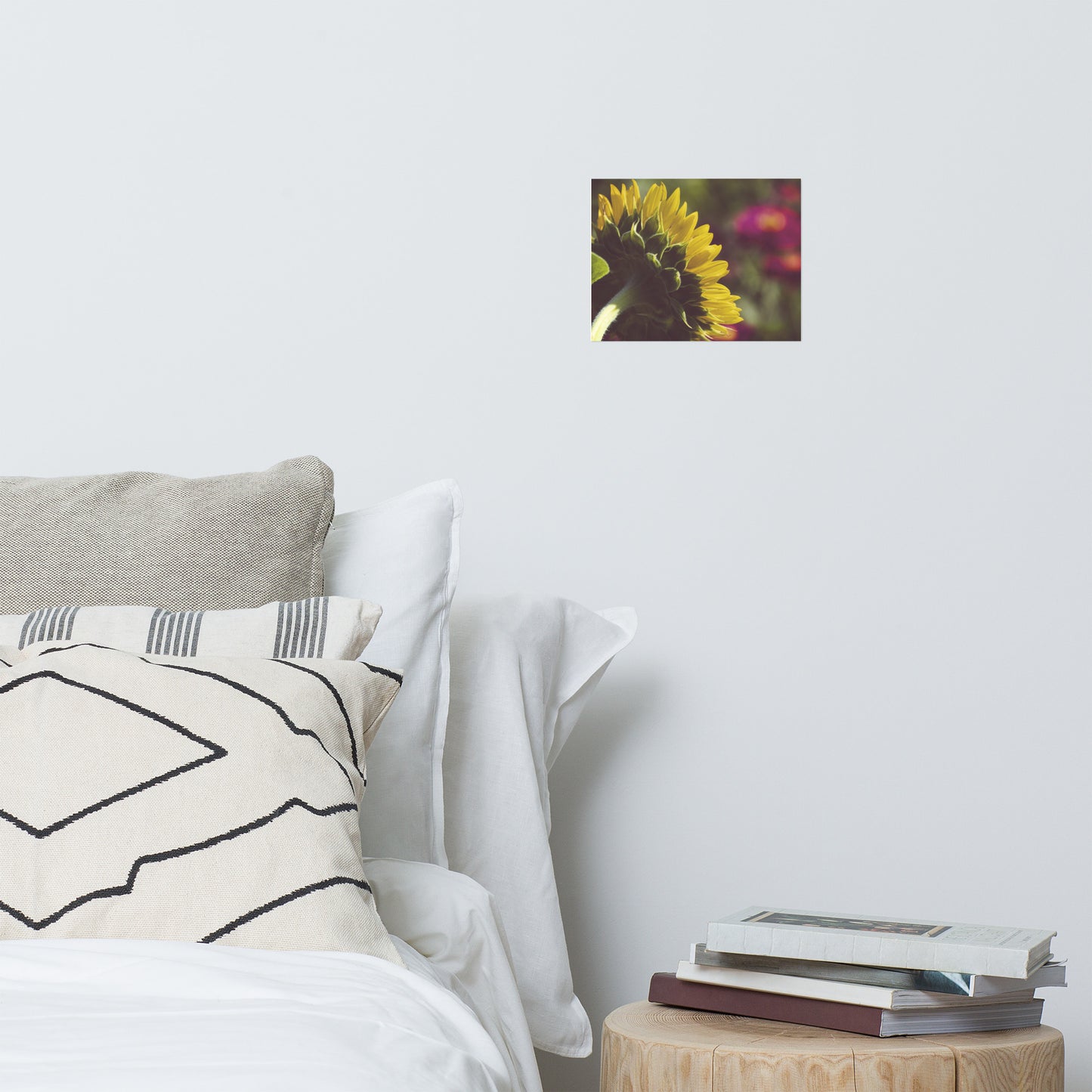 Dramatic Backside of Sunflower Grain Floral Nature Photo Loose Unframed Wall Art Prints