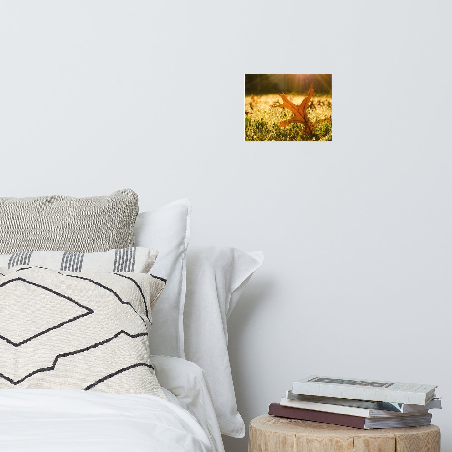 Fall Leaf in Morning Sun Farmhouse Style Botanical Nature Photo Loose Unframed Wall Art Prints