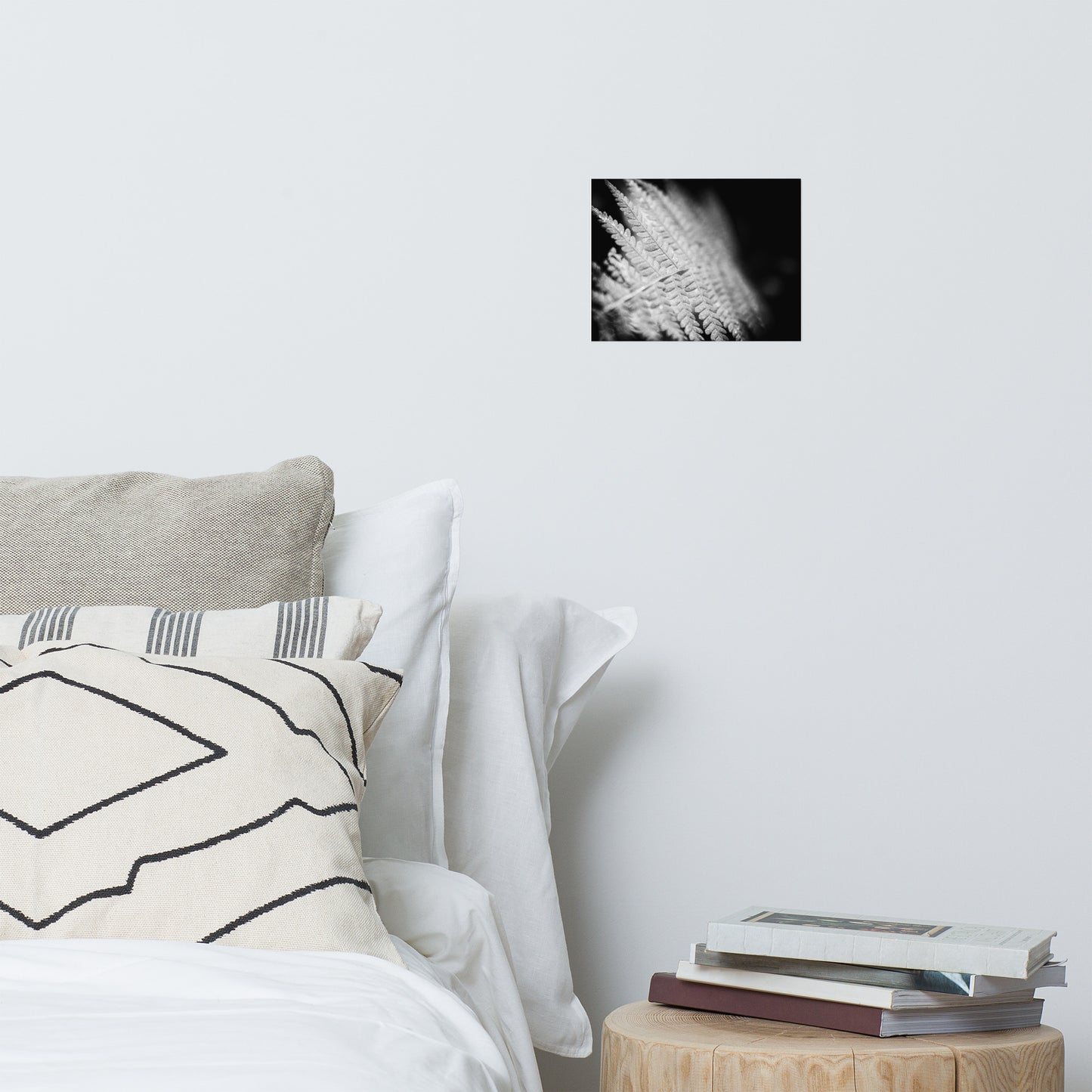Fern Leaf In the Sunlight Black and White Botanical Nature Photo Loose Unframed Wall Art Prints