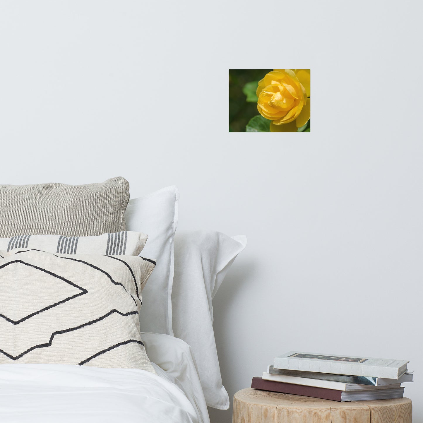 Friendship Rose Floral Nature Photo Loose Unframed Wall Art Prints