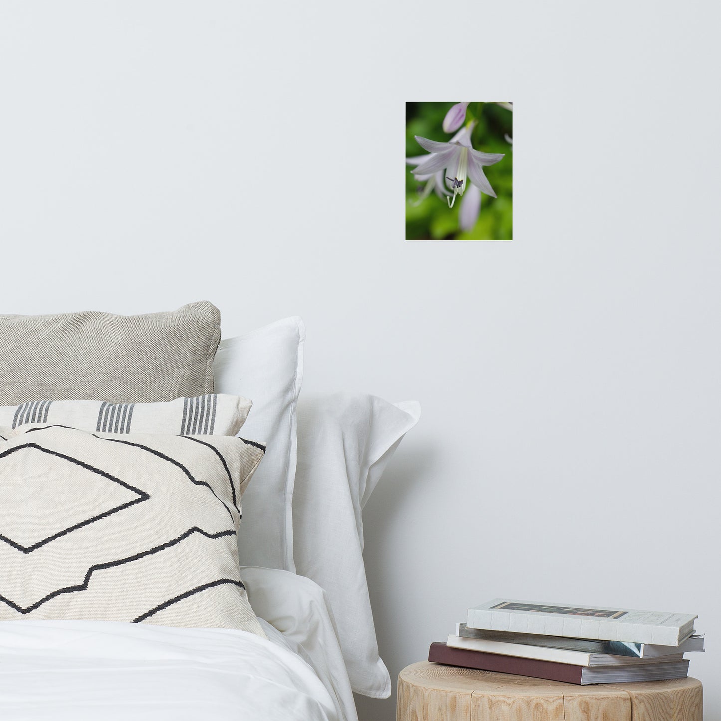 Hosta Bloom Floral Nature Photo Loose Unframed Wall Art Prints