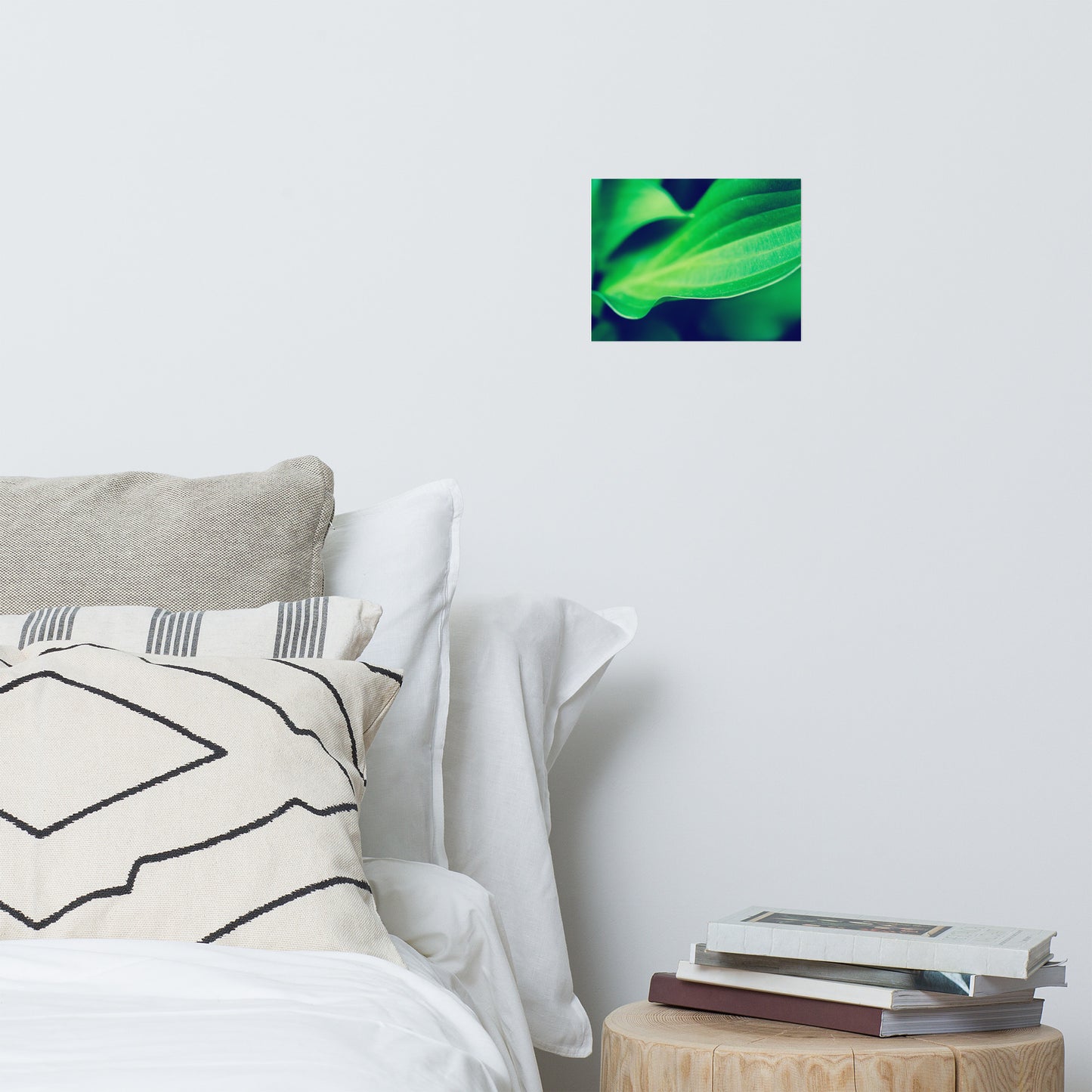 Mellow Hosta Leaves Modern Rustic Farmhouse Style Botanical Nature Photo Loose Unframed Wall Art Prints