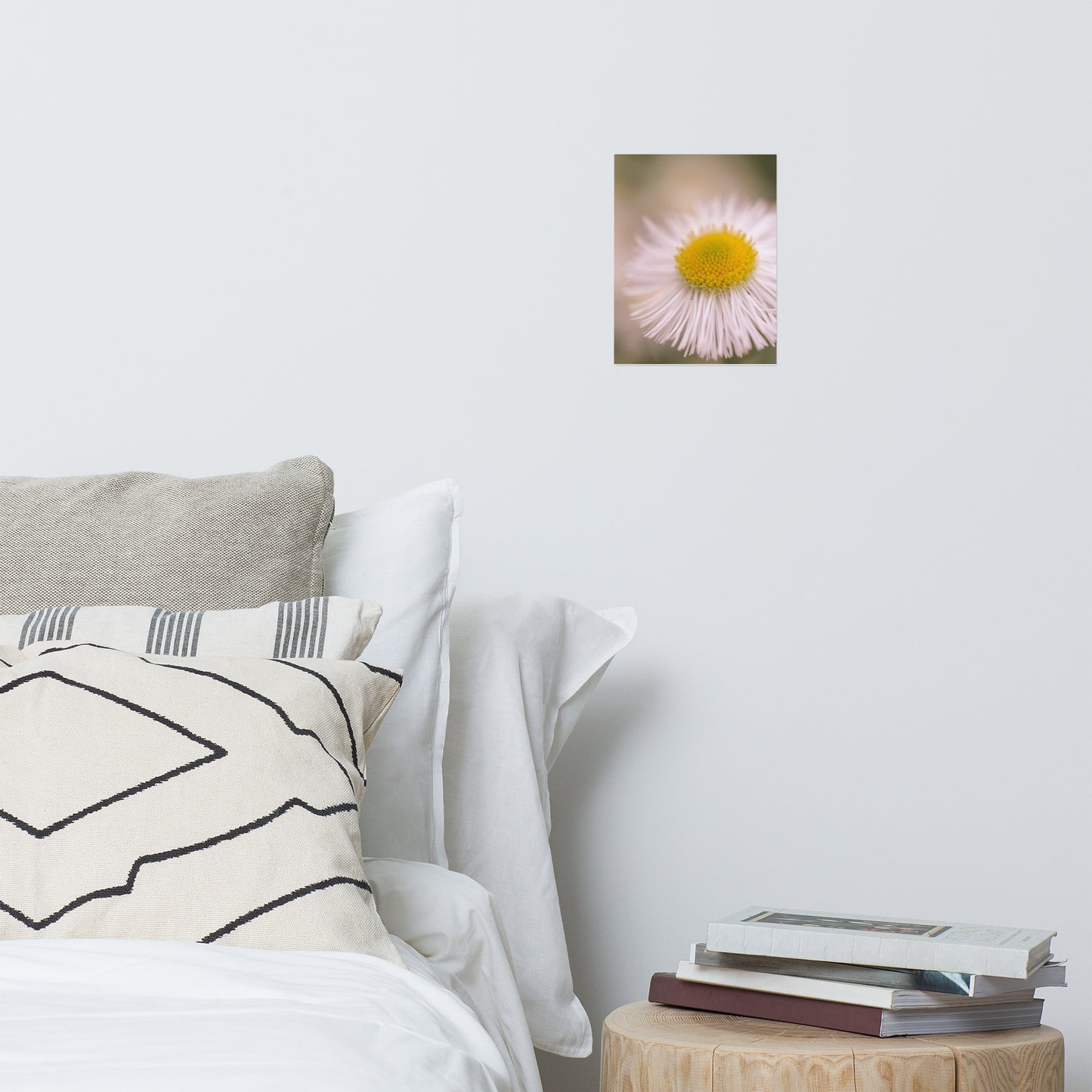 Philadelphia Fleabane Single Bloom Floral Nature Photo Loose Unframed Wall Art Prints
