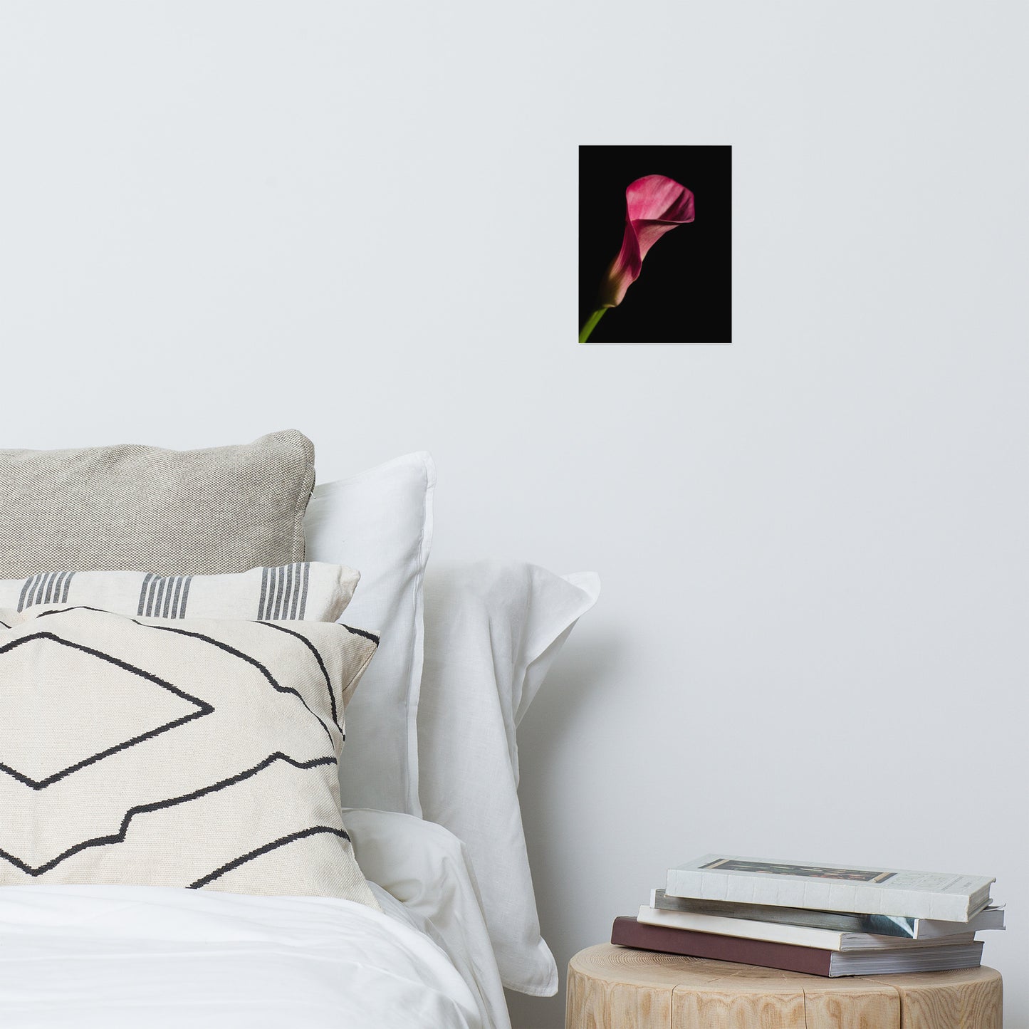 Pink Calla Lily Flower on Black Floral Nature Photo Loose Unframed Wall Art Prints