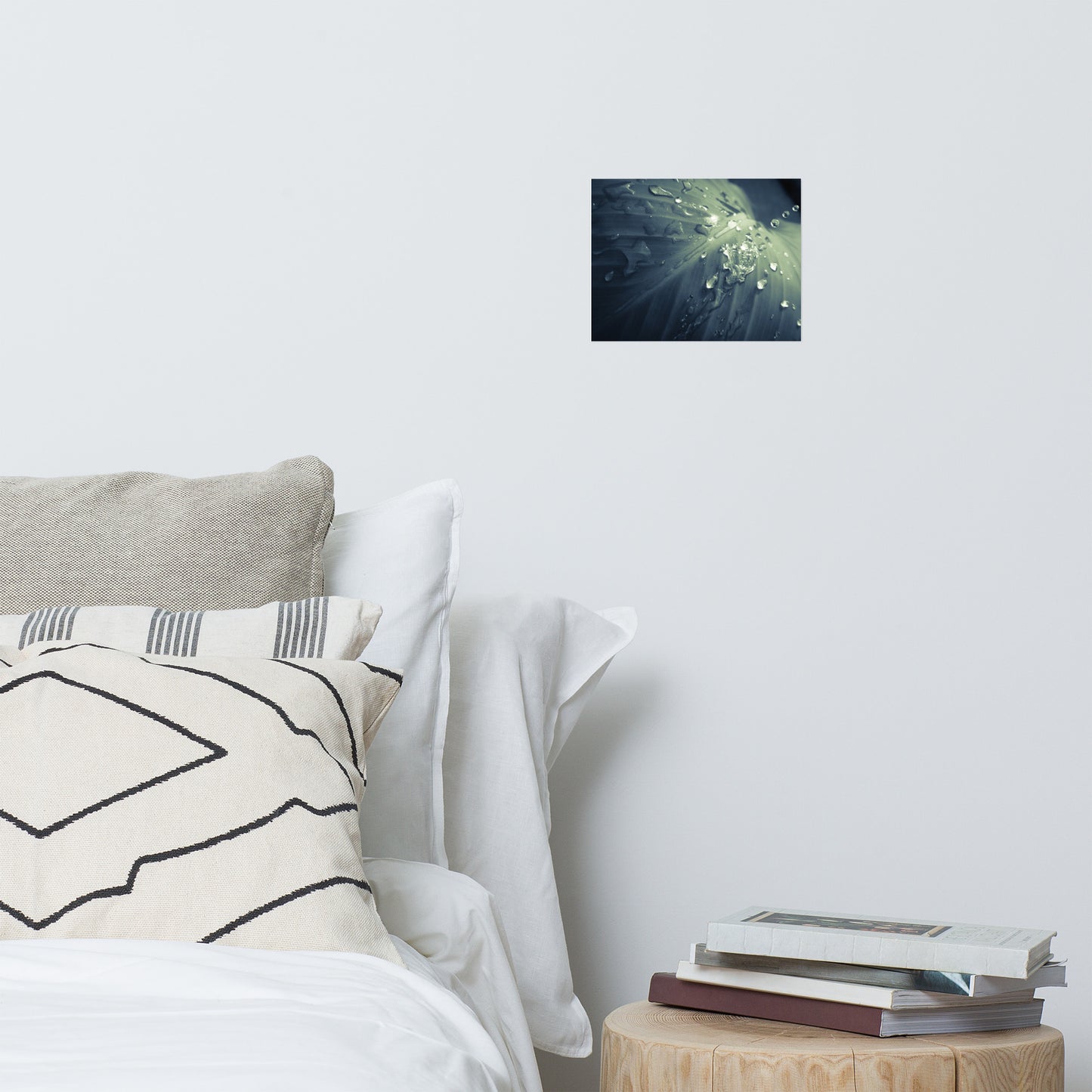 Rain Dropping on Canna Leaf Minimalist Botanical Nature Photo Loose Unframed Wall Art Prints