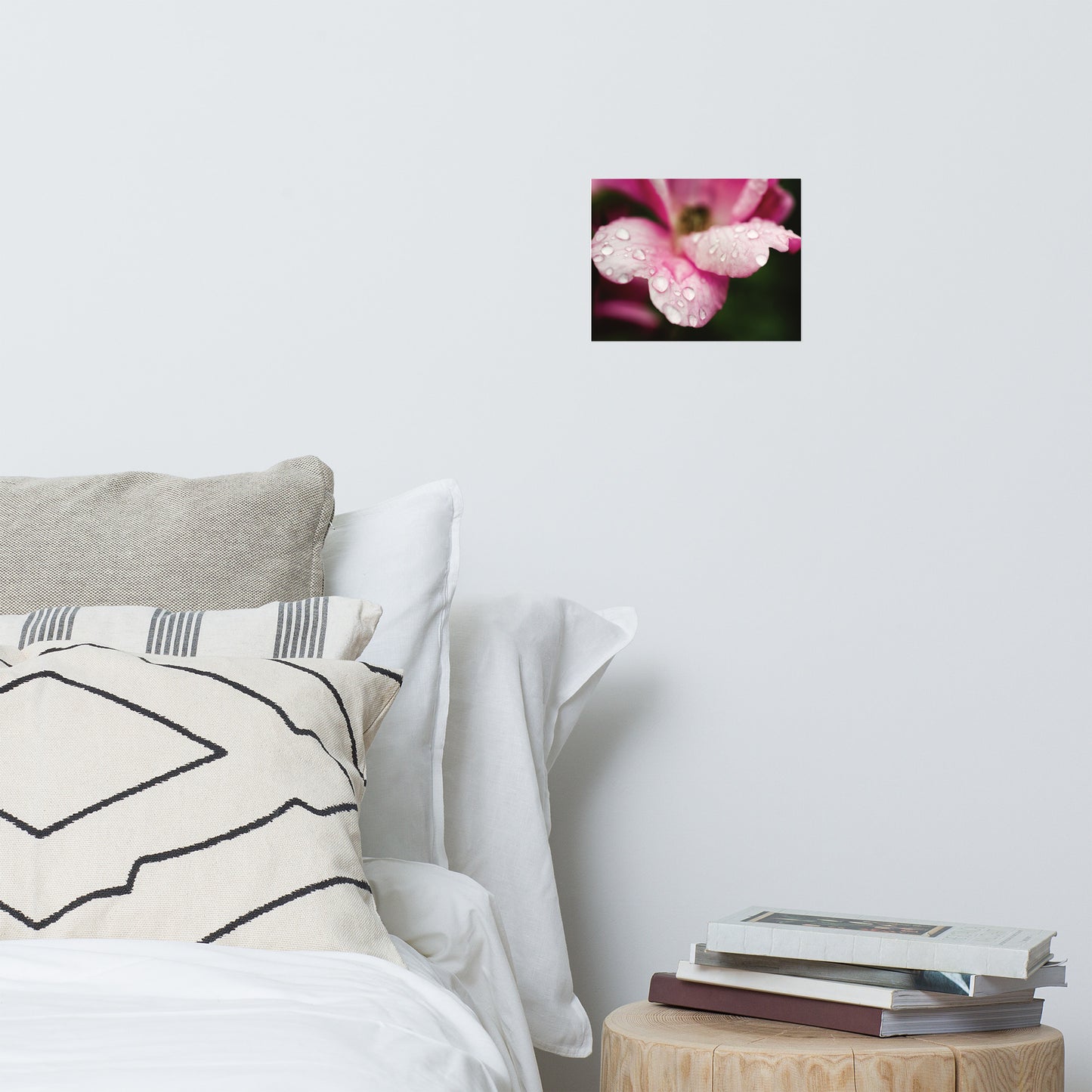 Raindrops on Wild Rose Floral Nature Photo Loose Unframed Wall Art Prints