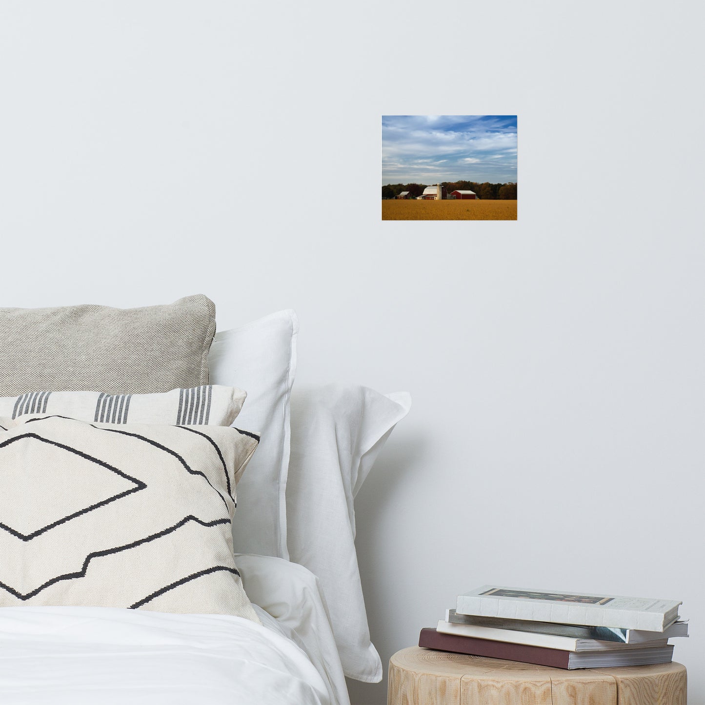 Red Barn in Golden Field Traditional Color Rustic Farmhouse Style Landscape Photo Loose Wall Art Prints