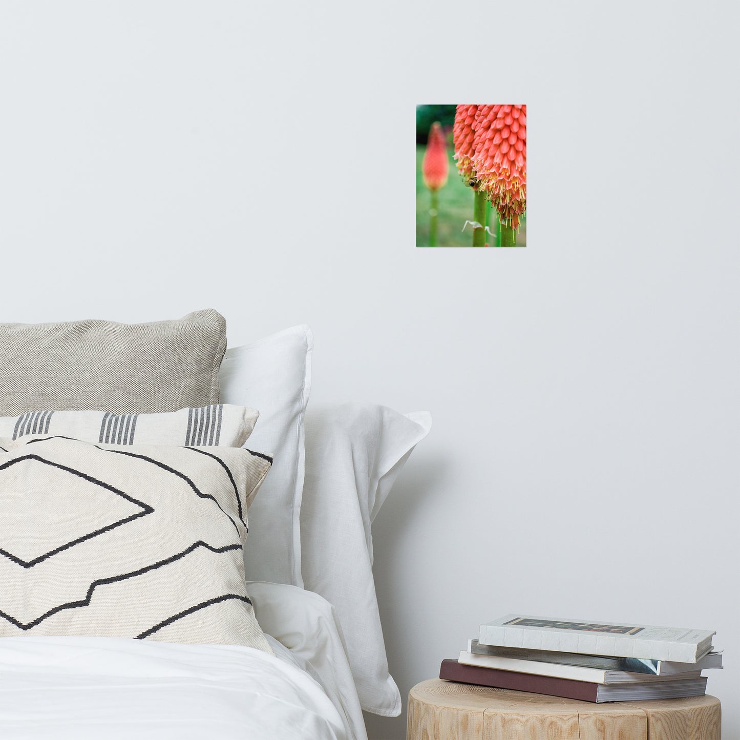 Red Hot Pokers Floral Nature Photo Loose Unframed Wall Art Prints