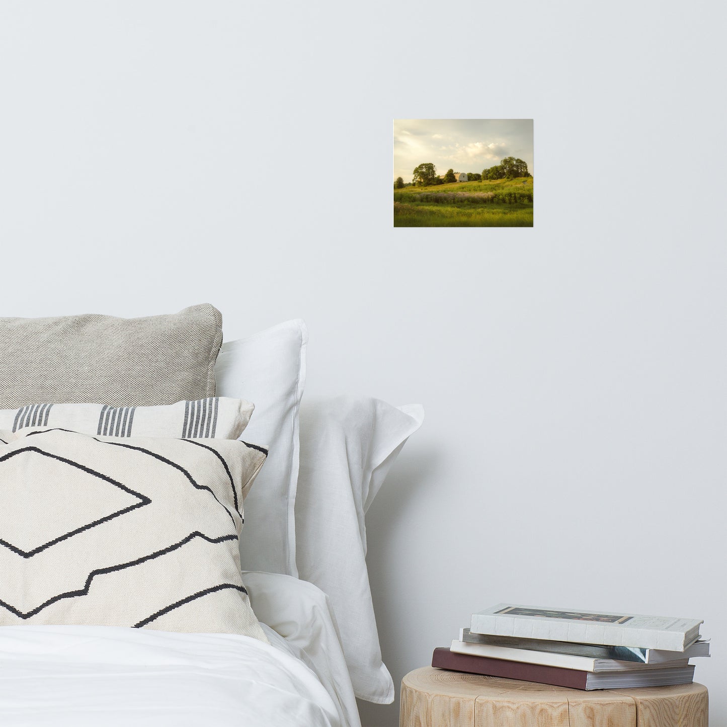 Remnant of Better Days Rustic Farmhouse Style Landscape Photo Loose Wall Art Prints