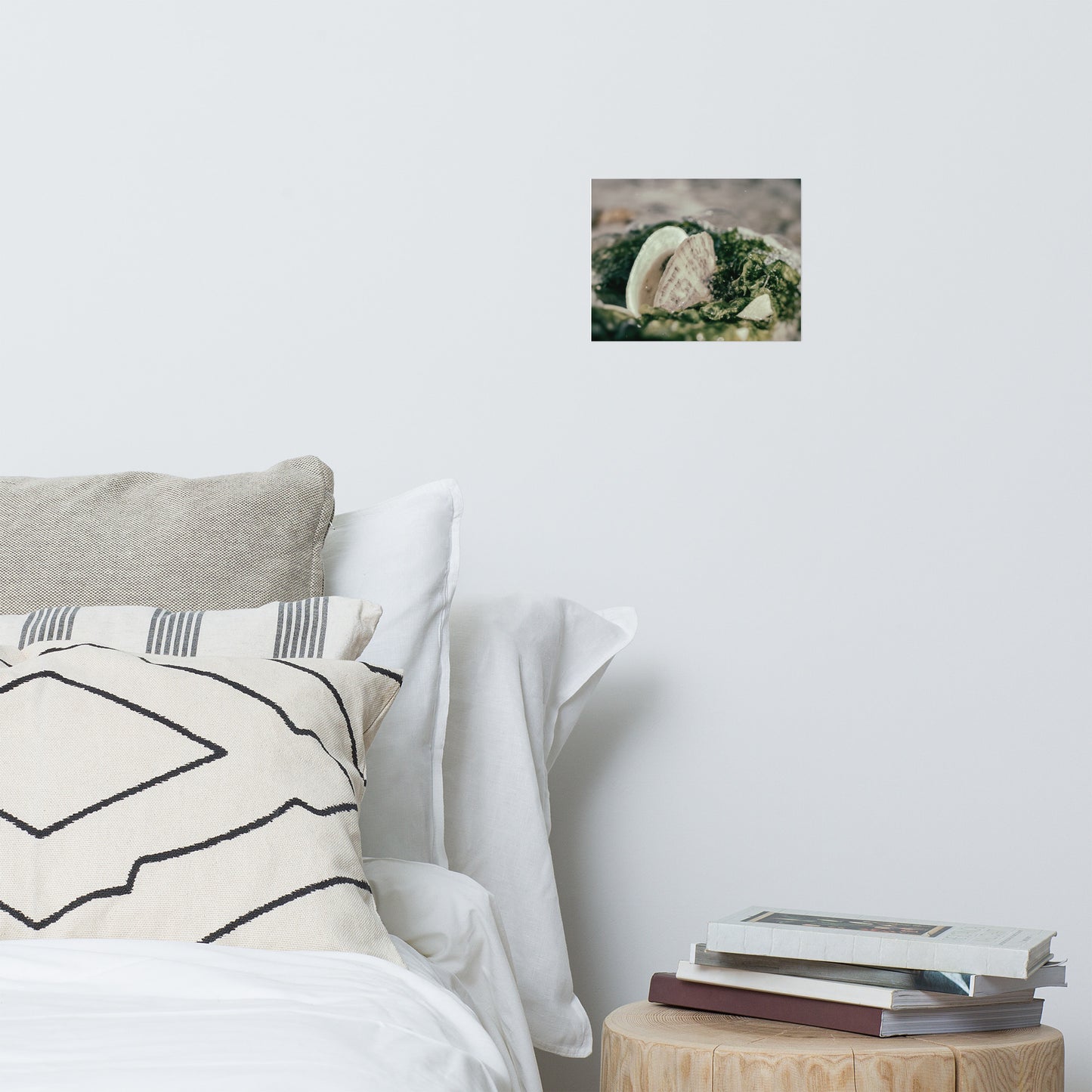 Seaweed and Shells Coastal Nature Photo Loose Unframed Wall Art Prints