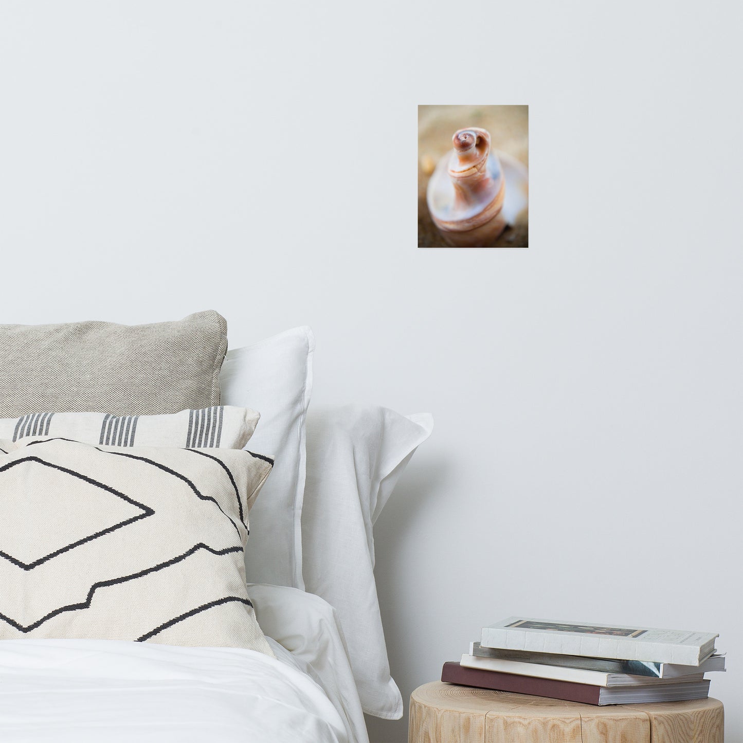 Smooth Erosion - Seashell Coastal Nature Photo Loose Unframed Wall Art Prints