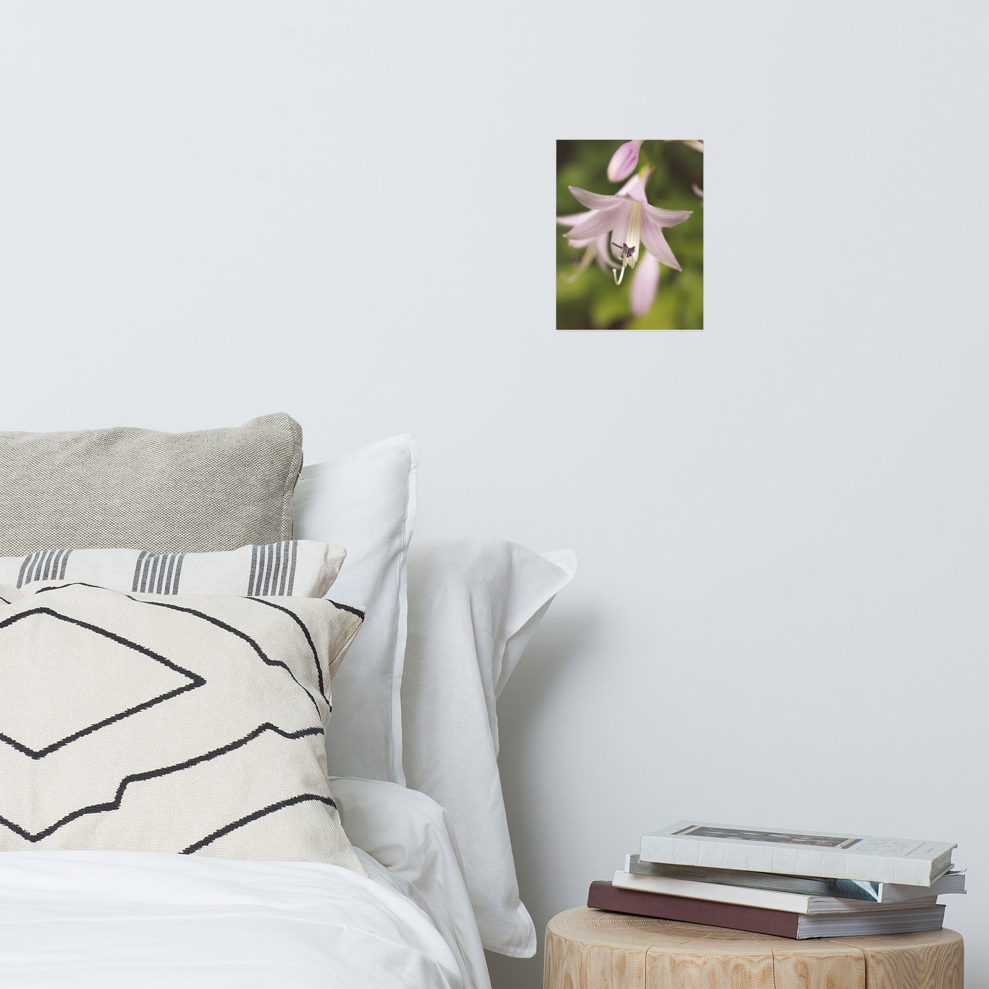 Softened Hosta Bloom Floral Nature Photo Loose Unframed Wall Art Prints