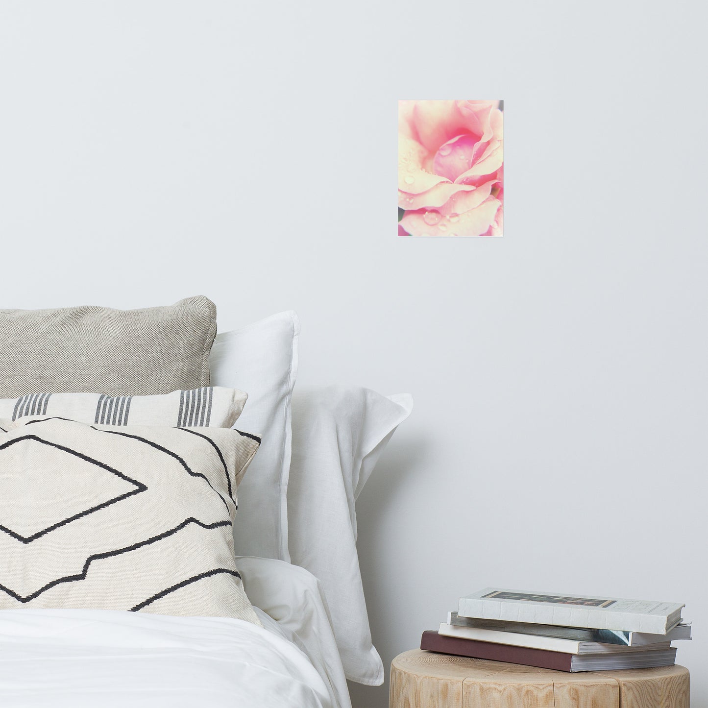 Softened Rose Floral Nature Photo Loose Unframed Wall Art Prints