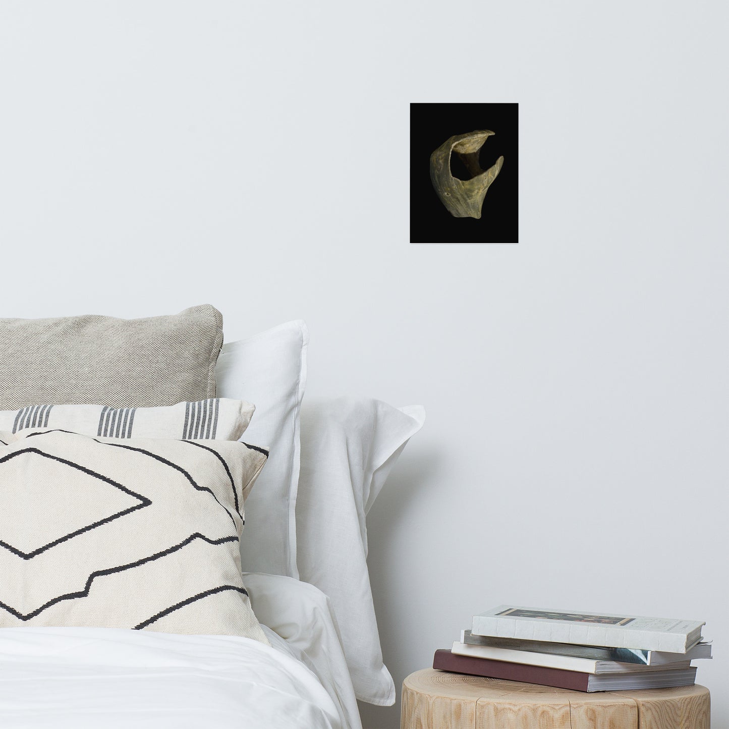 States of Erosion Image 5 Whelk Shell Coastal Nature Photo Loose Unframed Wall Art Prints