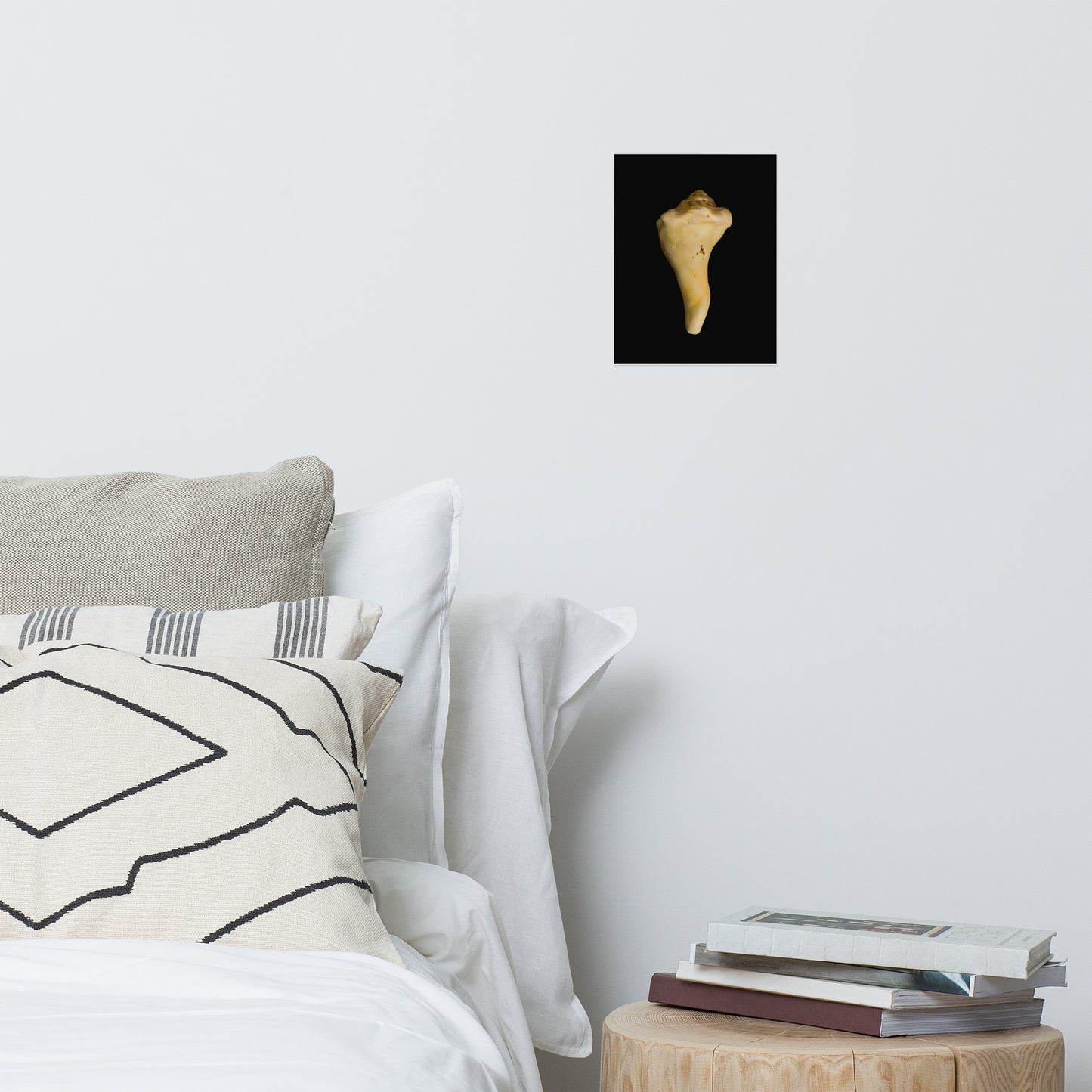 States of Erosion Image 8 Whelk Shell Coastal Nature Photo Loose Unframed Wall Art Prints