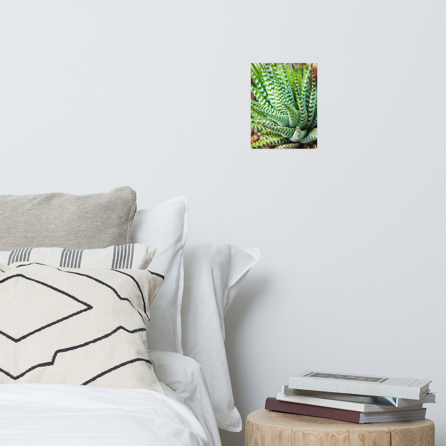 Succulent 2 Minimalist Rustic Farmhouse Style Botanical Nature Photo Loose Unframed Wall Art Prints