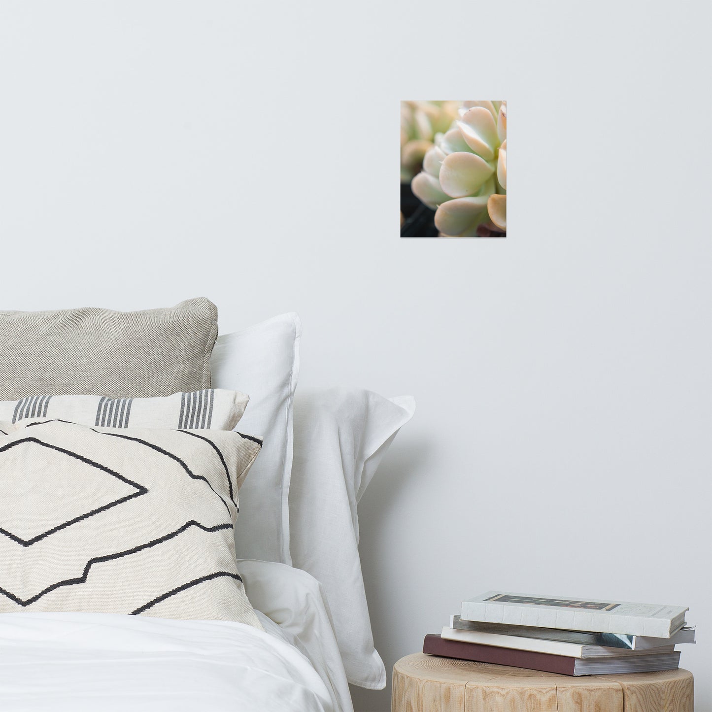 Succulent 4 Minimalist Rustic Farmhouse Style Botanical Nature Photo Loose Unframed Wall Art Prints