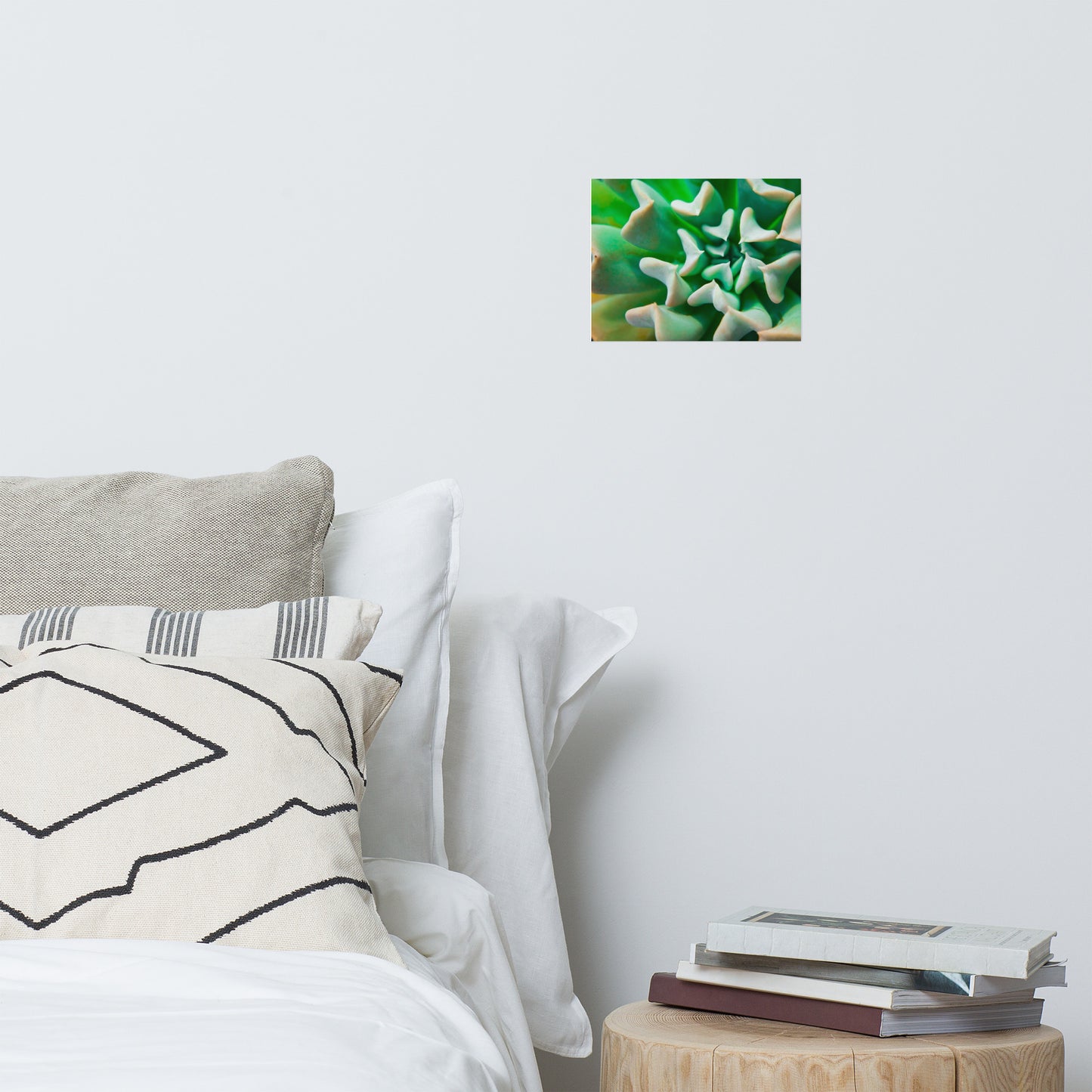 Succulent Botanical Minimalist Rustic Farmhouse Style Nature Photo Loose Unframed Wall Art Prints