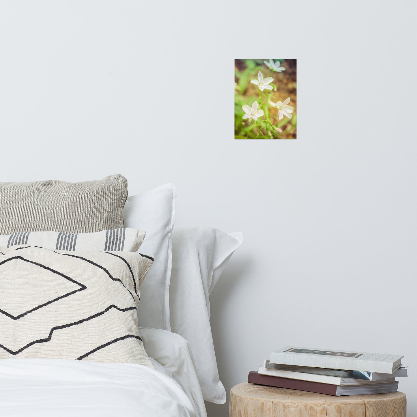Tranquil Carolina Spring Beauty Floral Nature Photo Loose Unframed Wall Art Prints