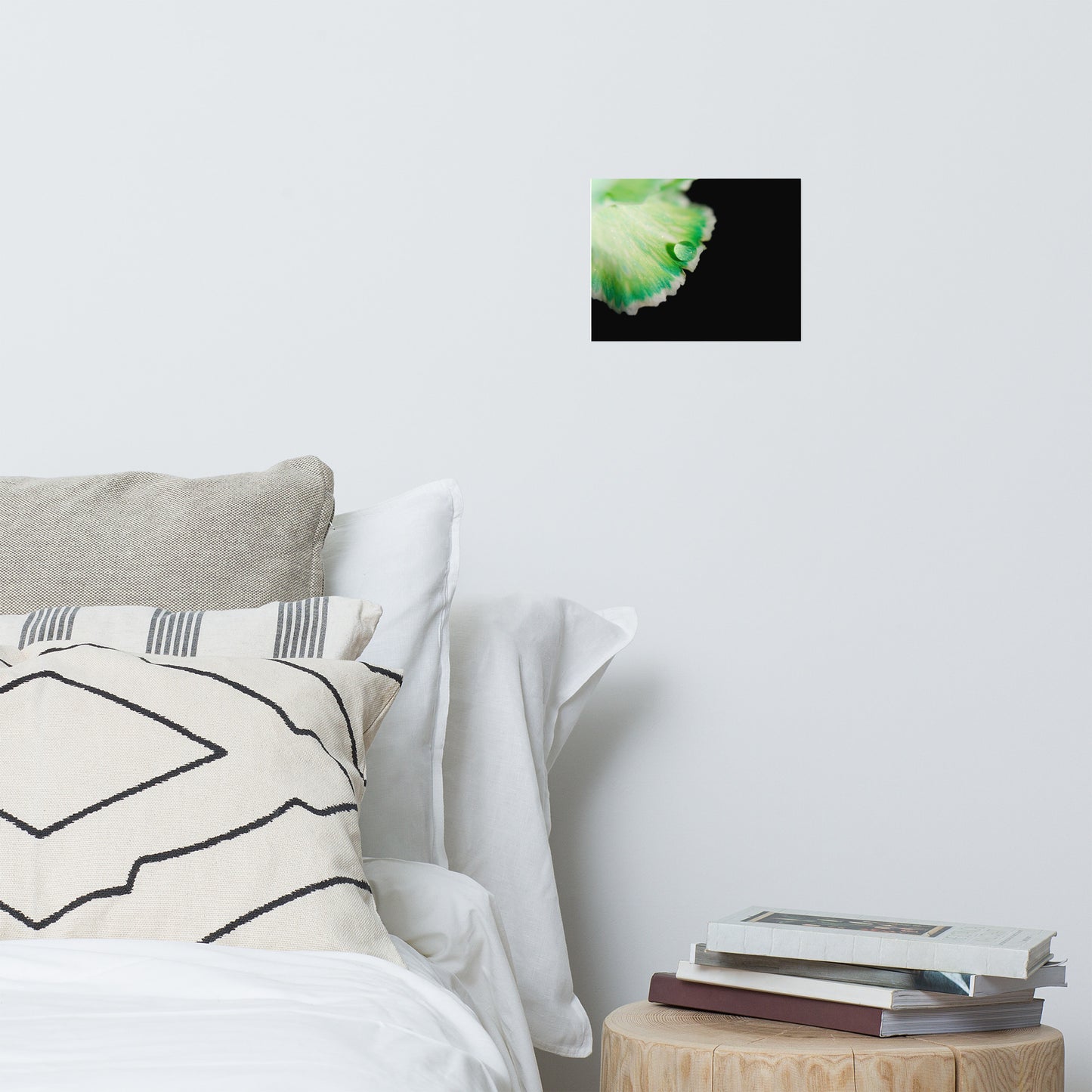 Water Droplet on Carnation Petal Floral Nature Photo Loose Unframed Wall Art Prints