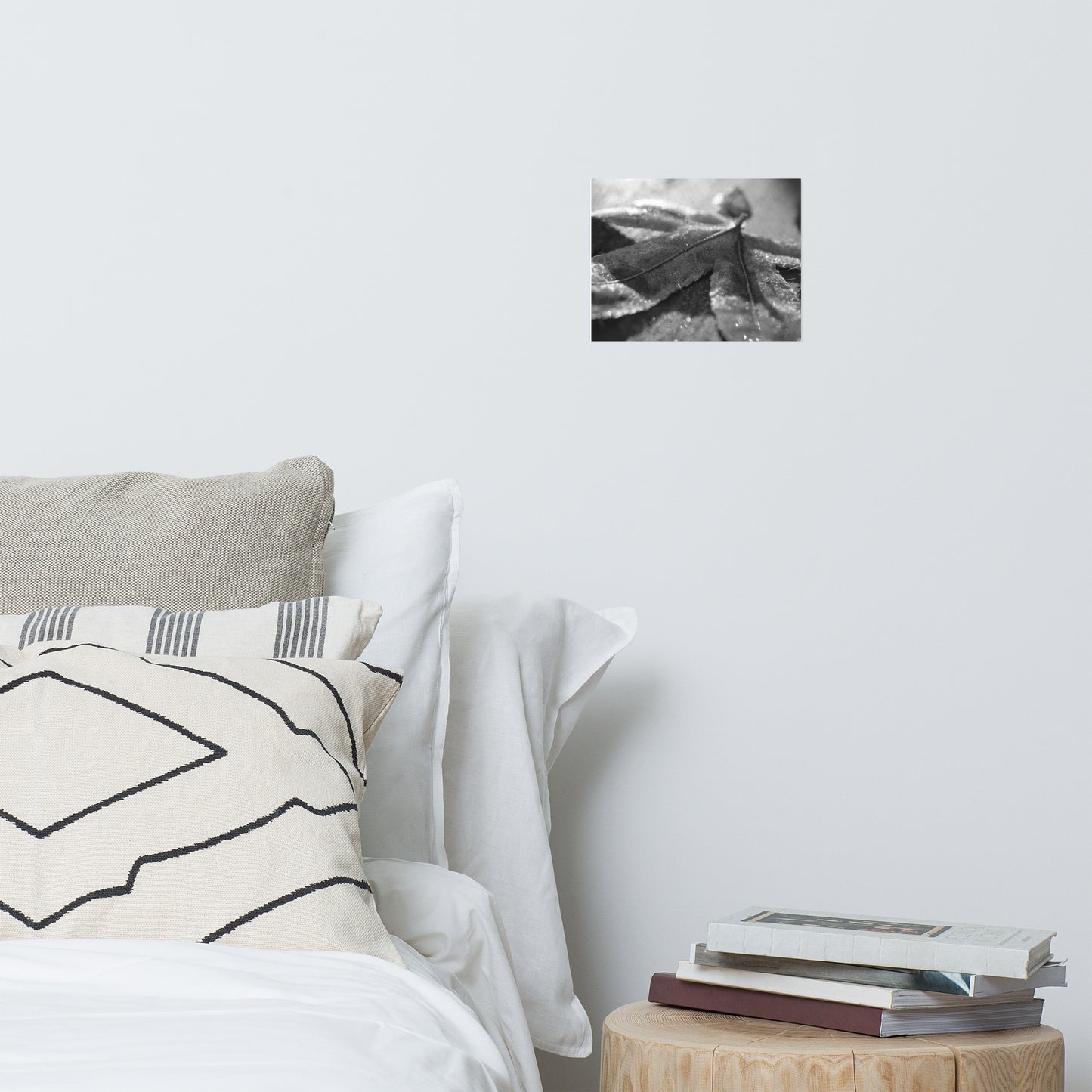Frost Covered Leaf Black and White Botanical Nature Photo Loose Unframed Wall Art Prints