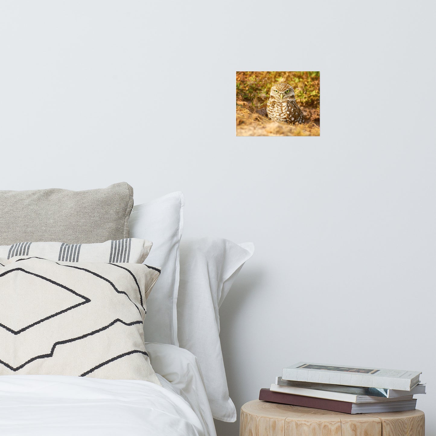 Burrowing Owl in Golden Light Rustic Bird / Animal / Wildlife Photograph Art Print