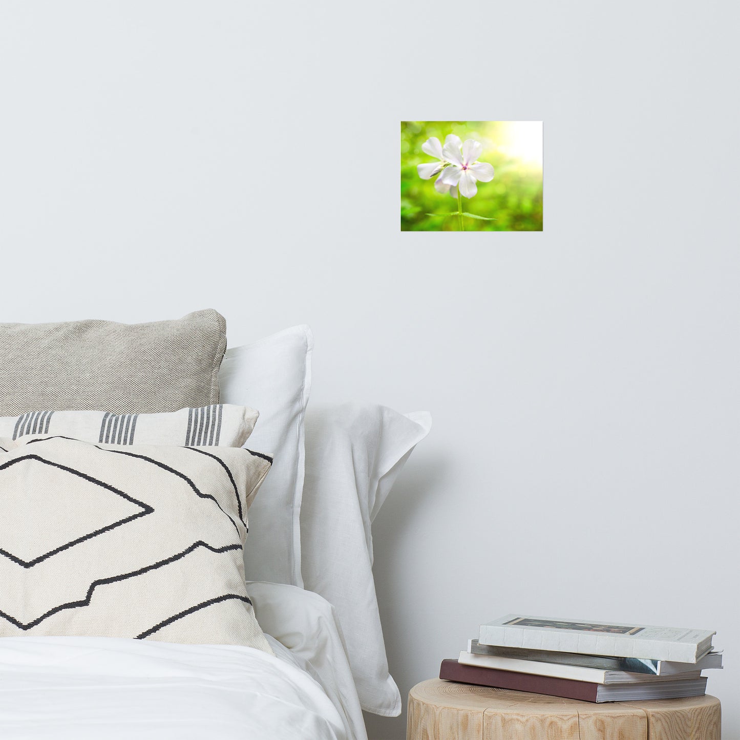 Beauty of the Forest Floor Floral Nature Photo Loose Unframed Wall Art Prints