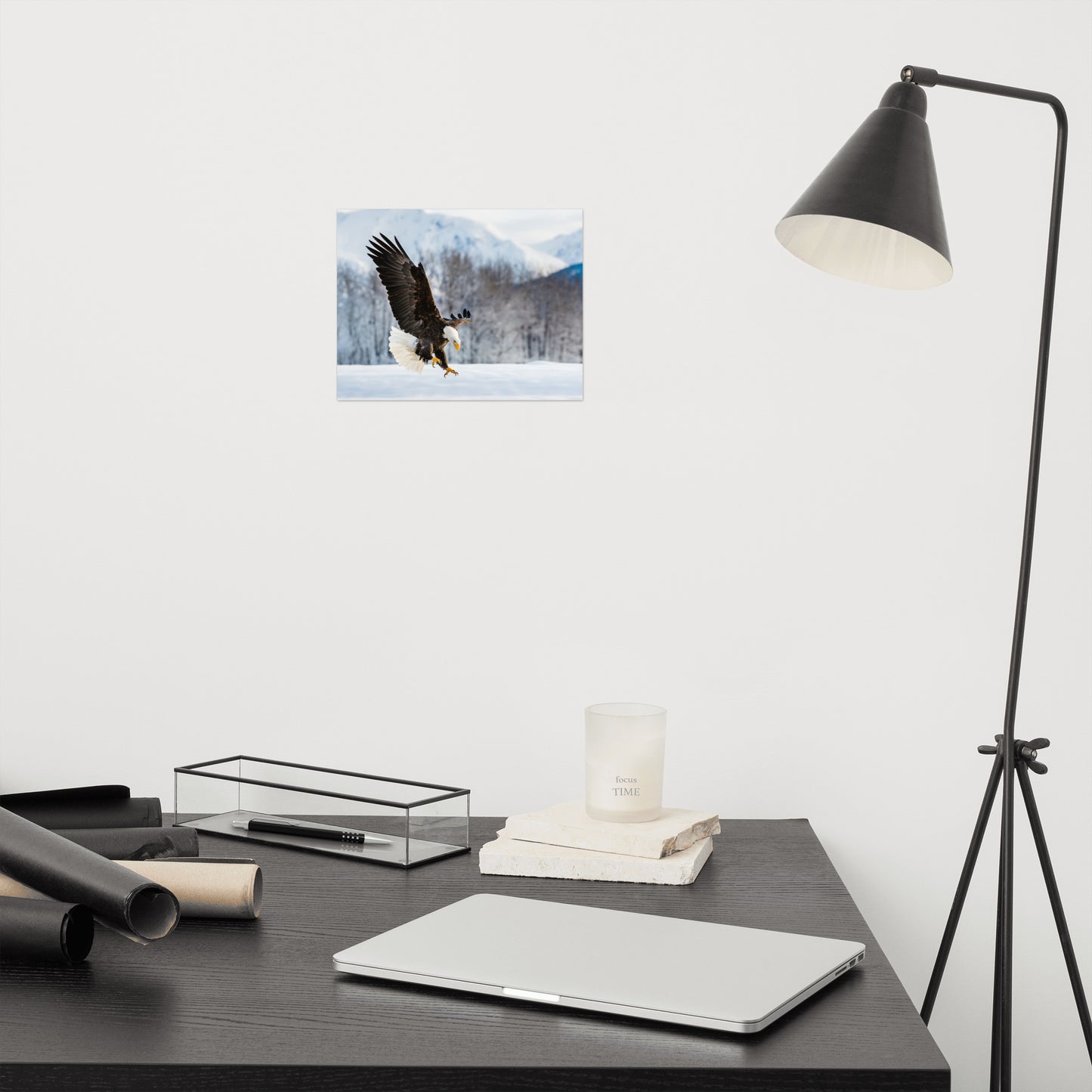 wildlife wall art prints, Adult Bald Eagle and Alaskan Winter Landscape Animal artwork print