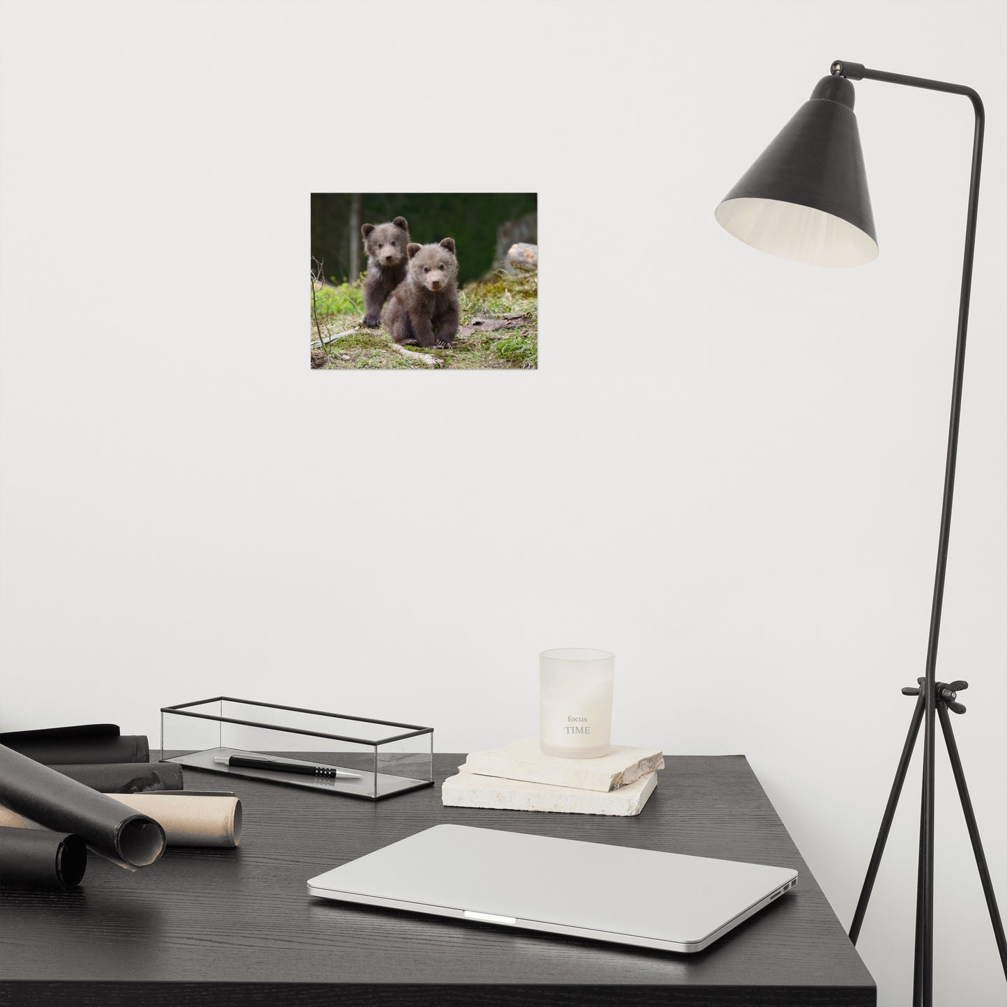 Playroom Prints: Adorable Grizzly Bear Cubs In The Trees Animal / Wildlife / Nature Photograph - Loose / Unframed / Frameable / Frameless Wall Art Print / Artwork